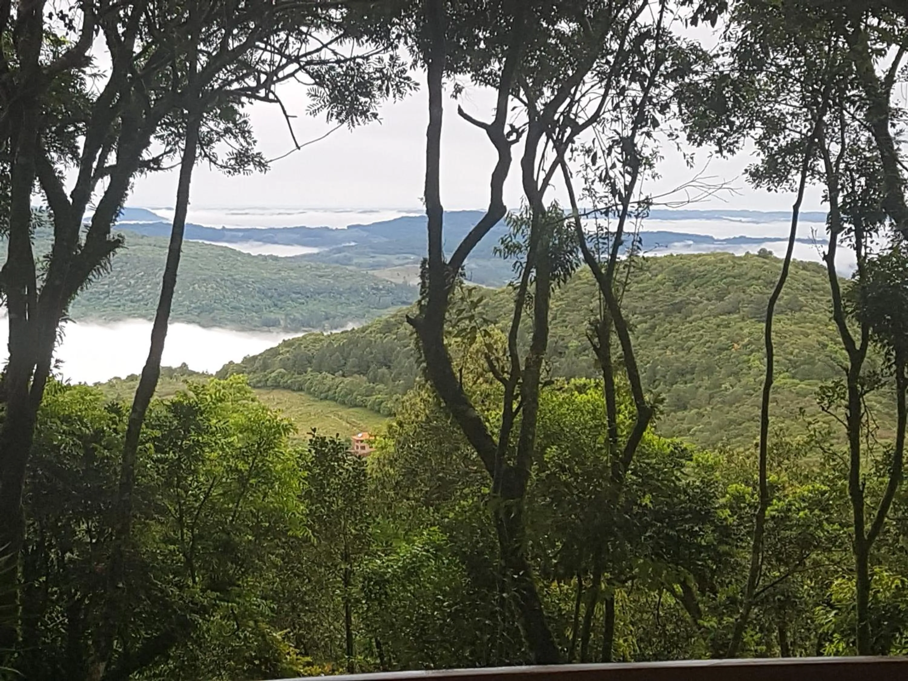 Refúgio da natureza