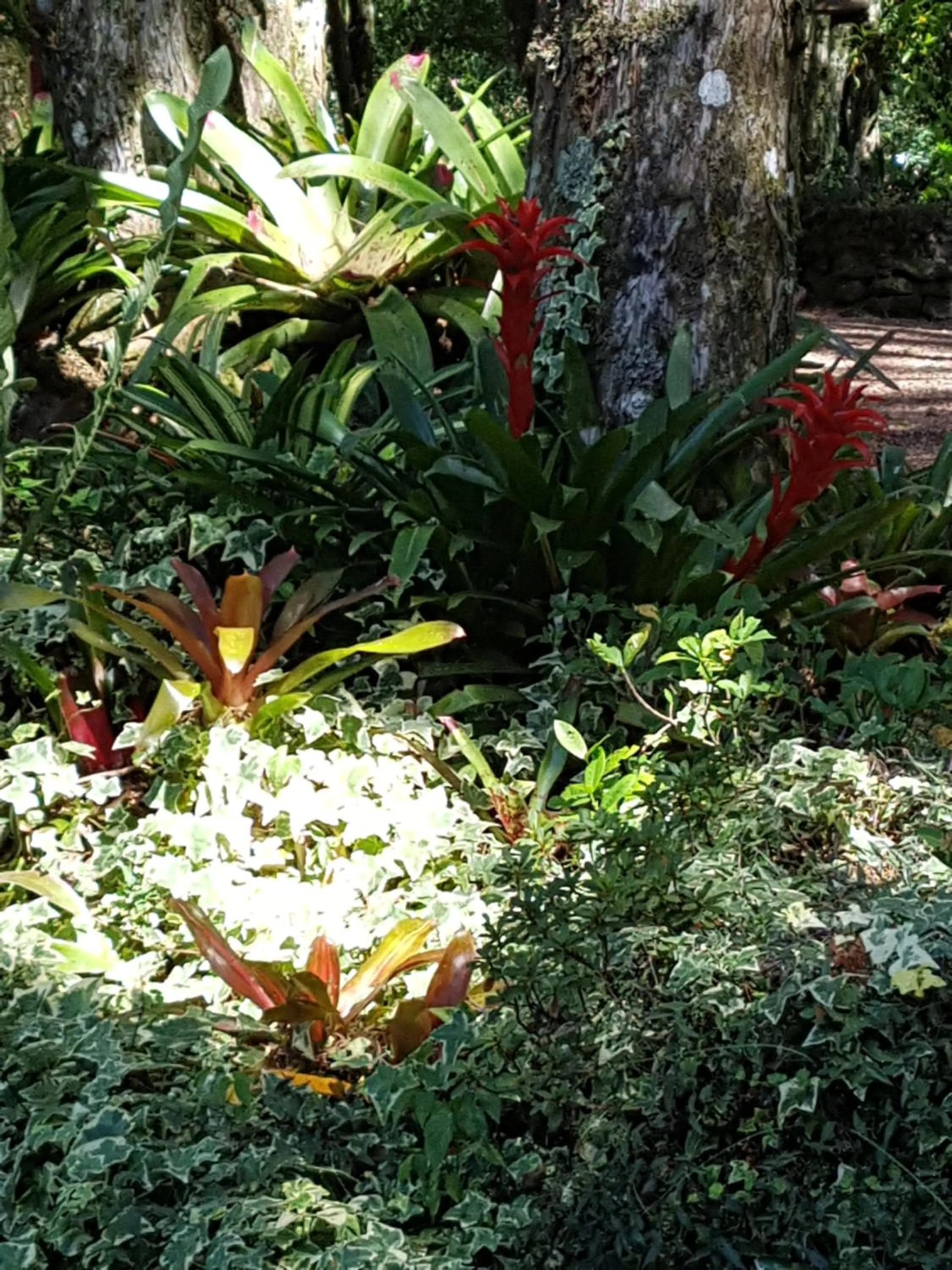 Refúgio da natureza