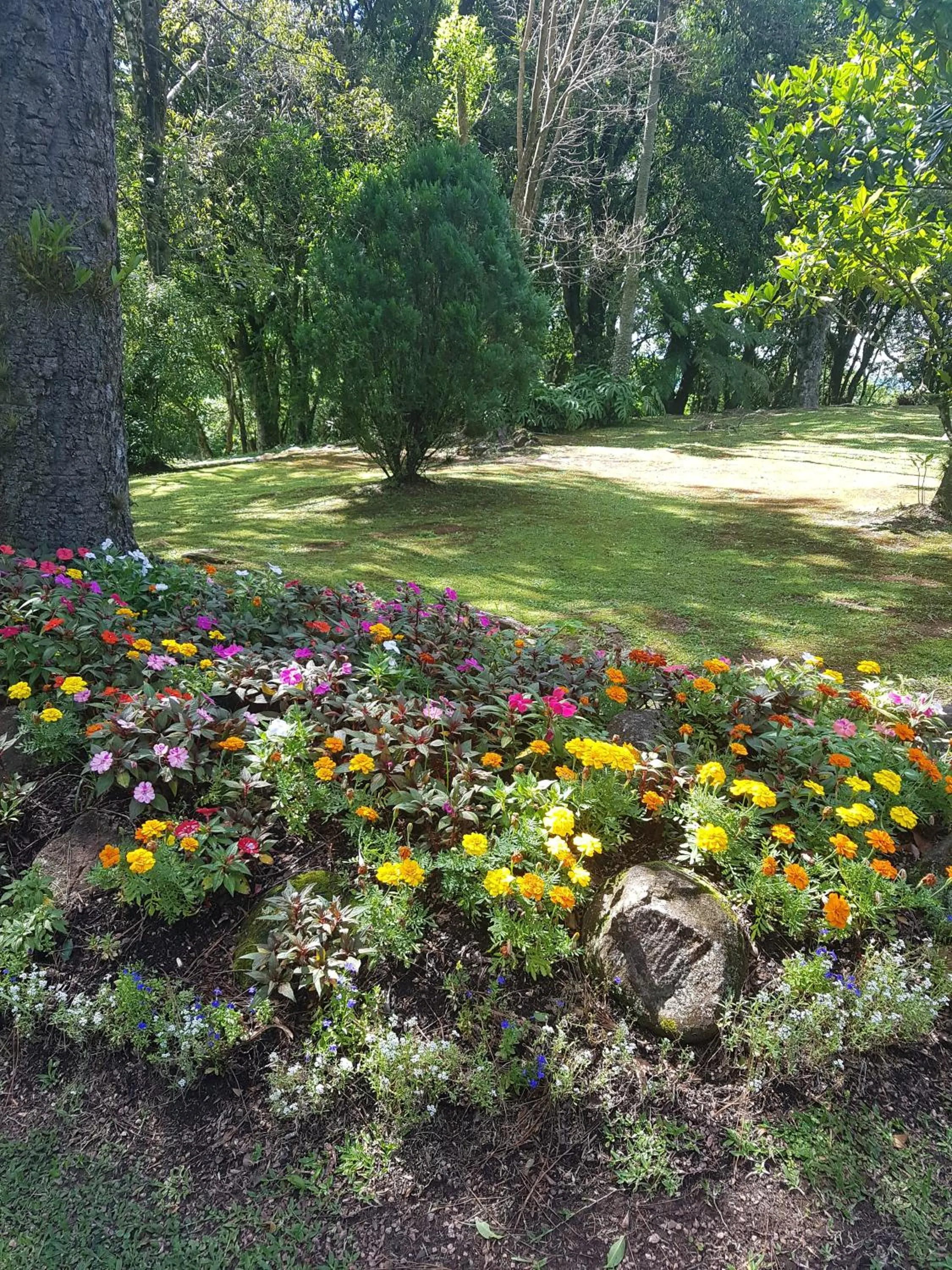 Refúgio da natureza