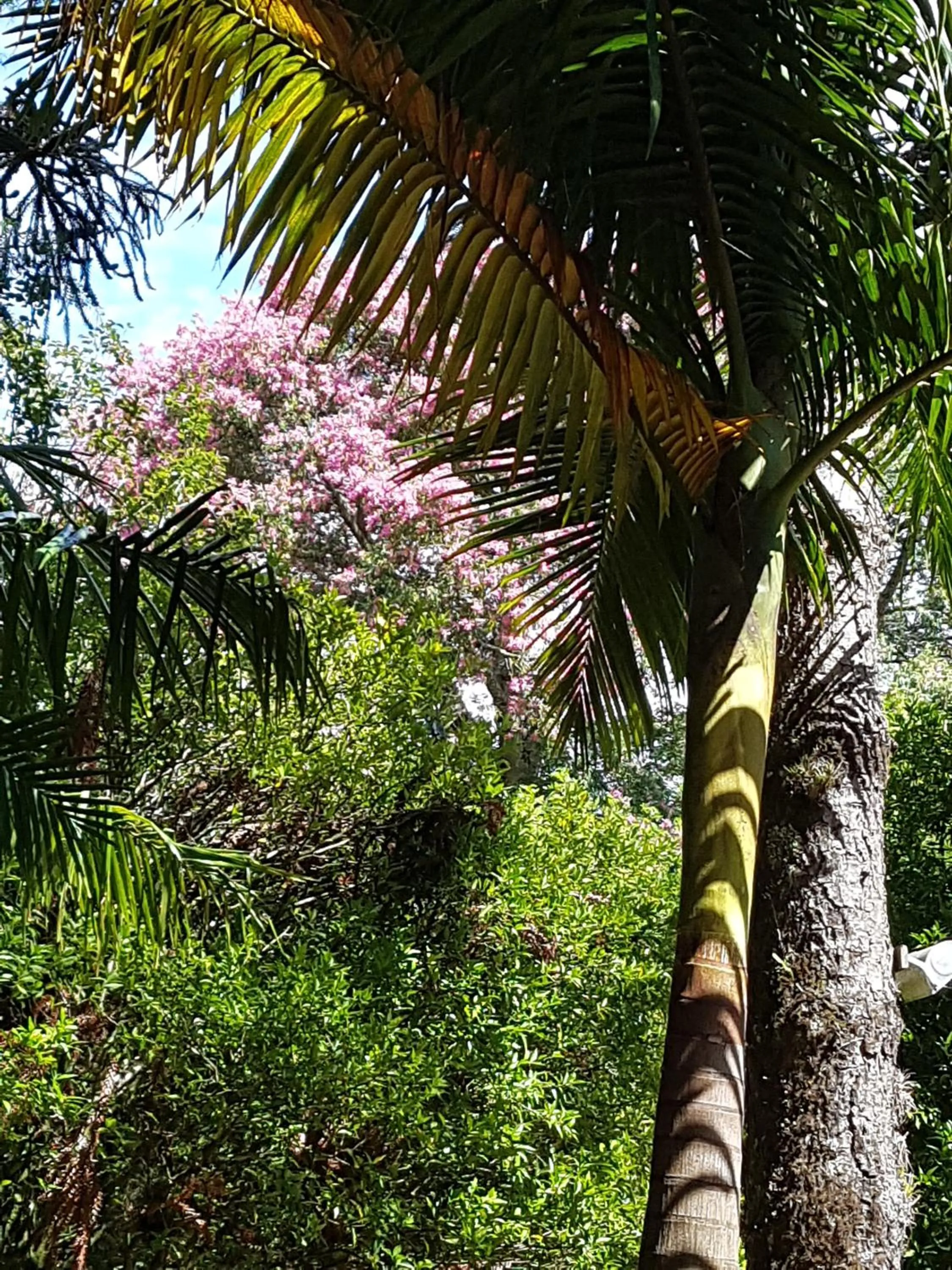 Refúgio da natureza