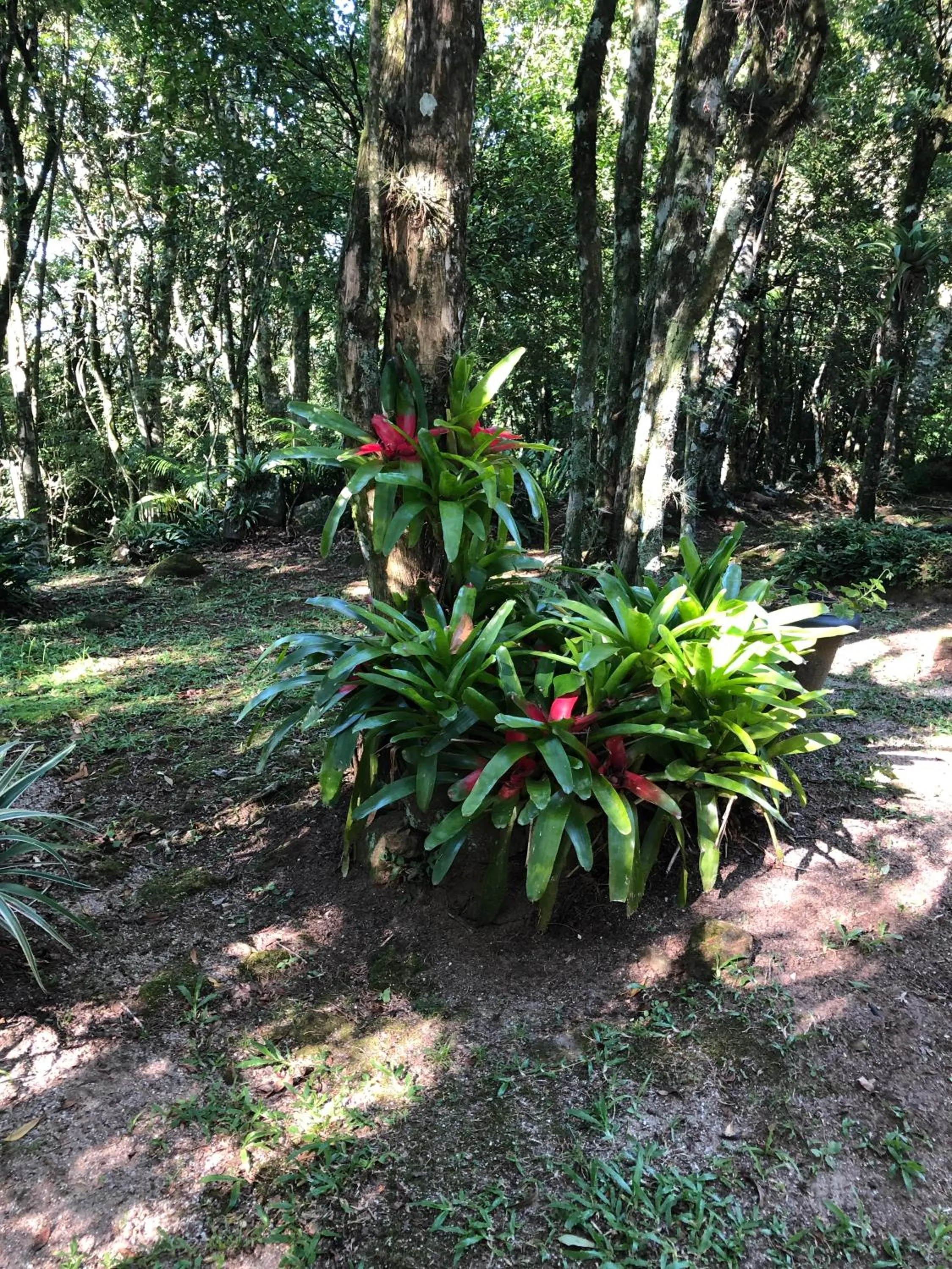 Refúgio da natureza
