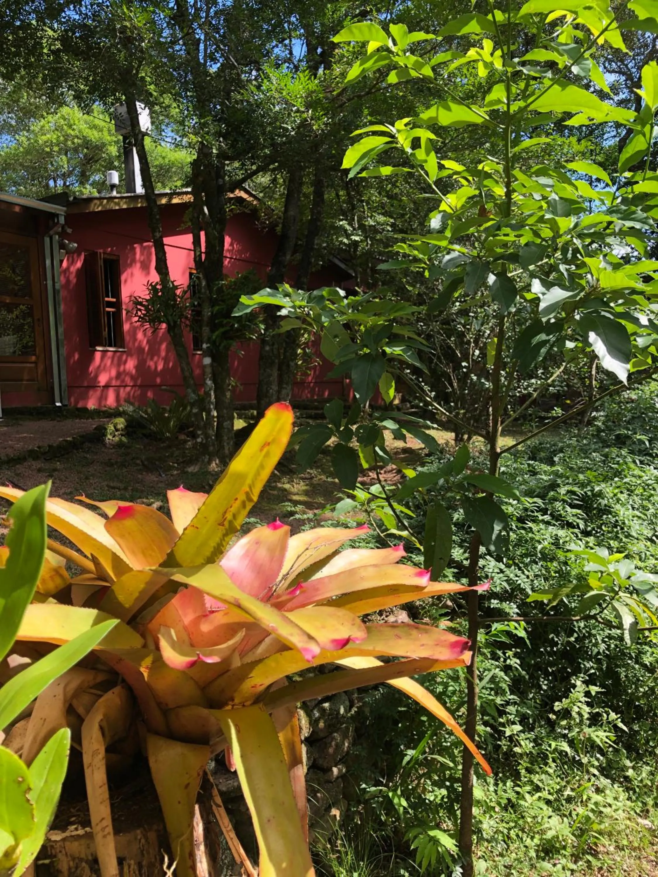 Refúgio da natureza
