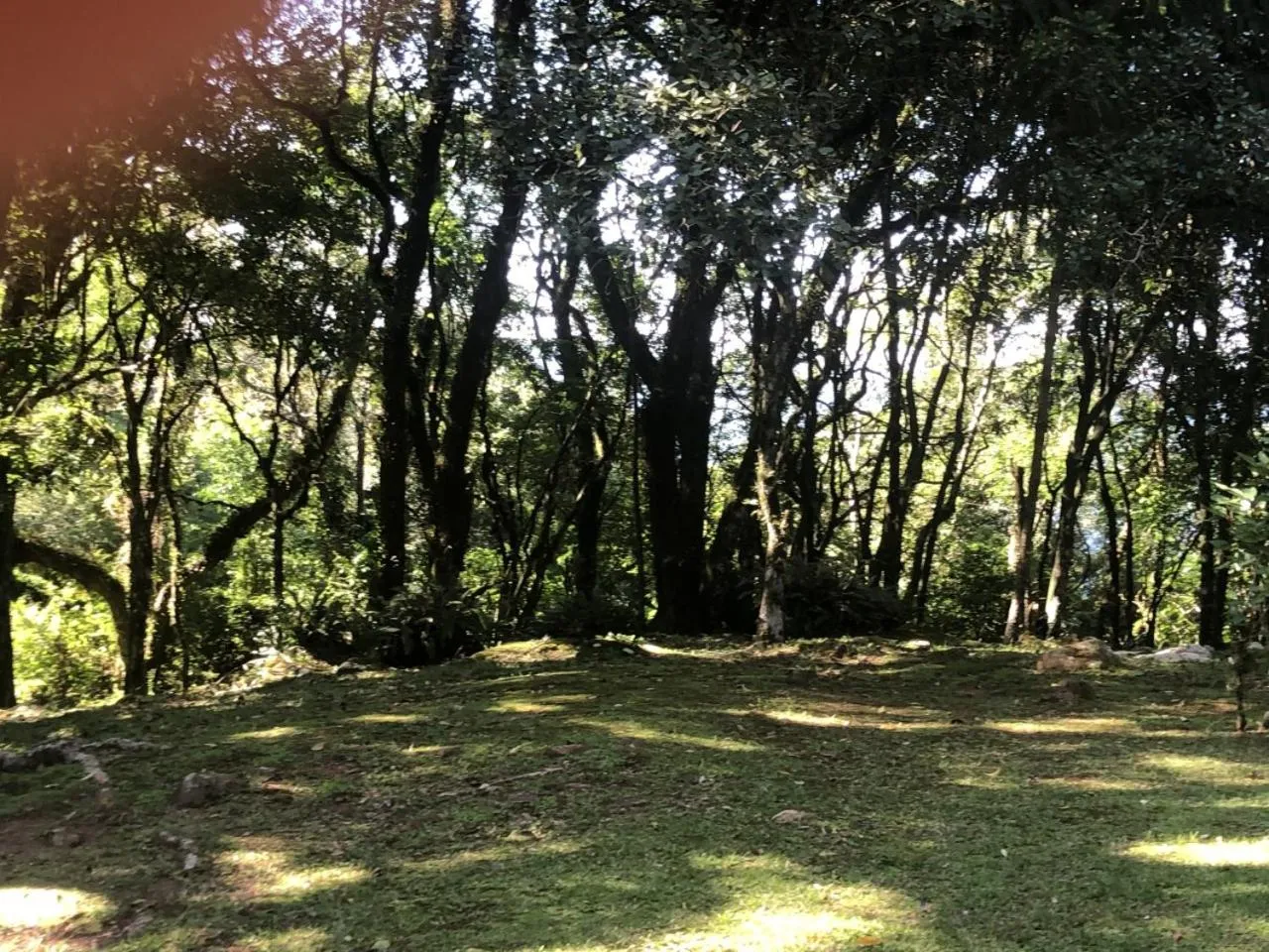 Refúgio da natureza