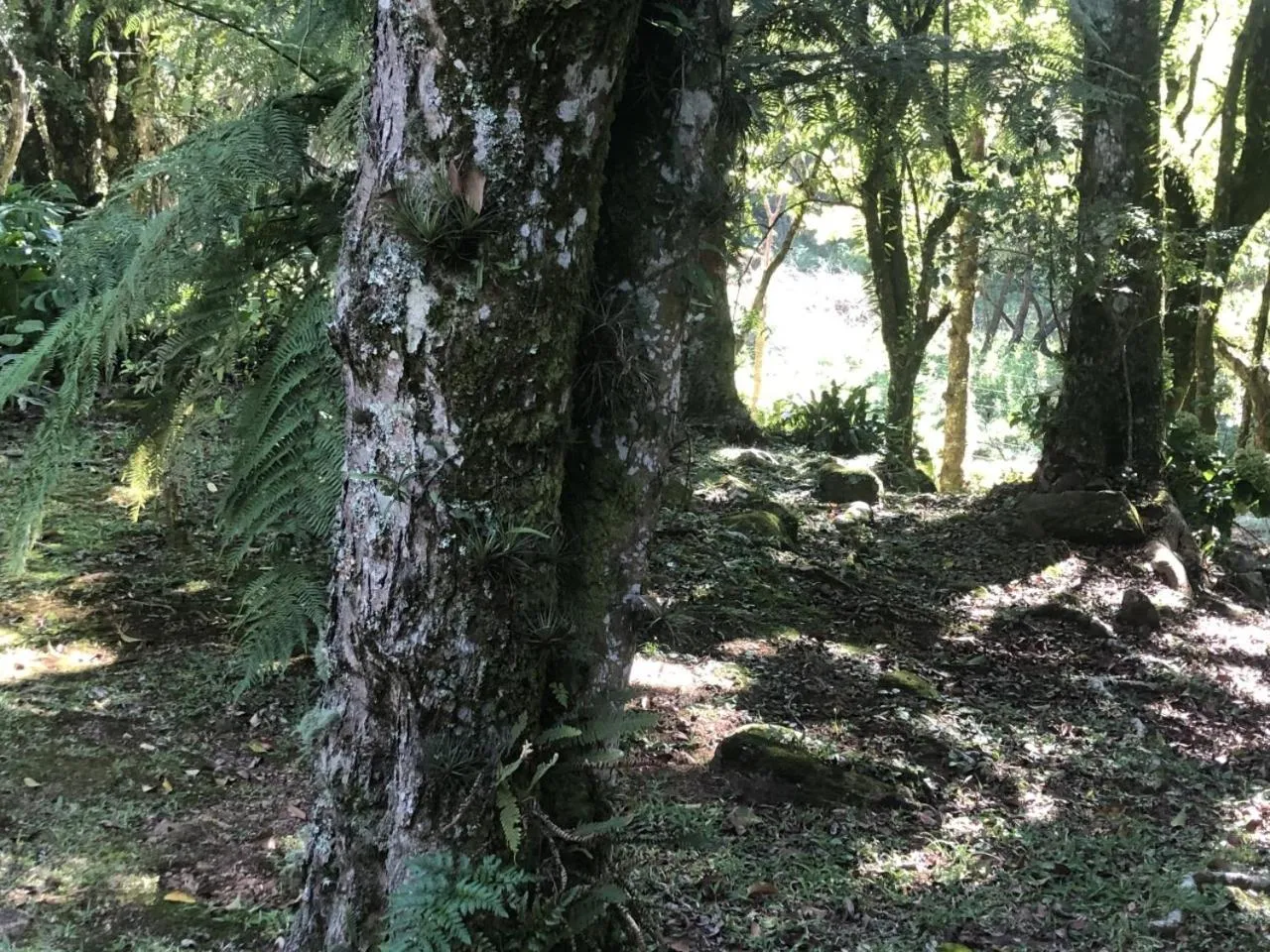 Refúgio da natureza