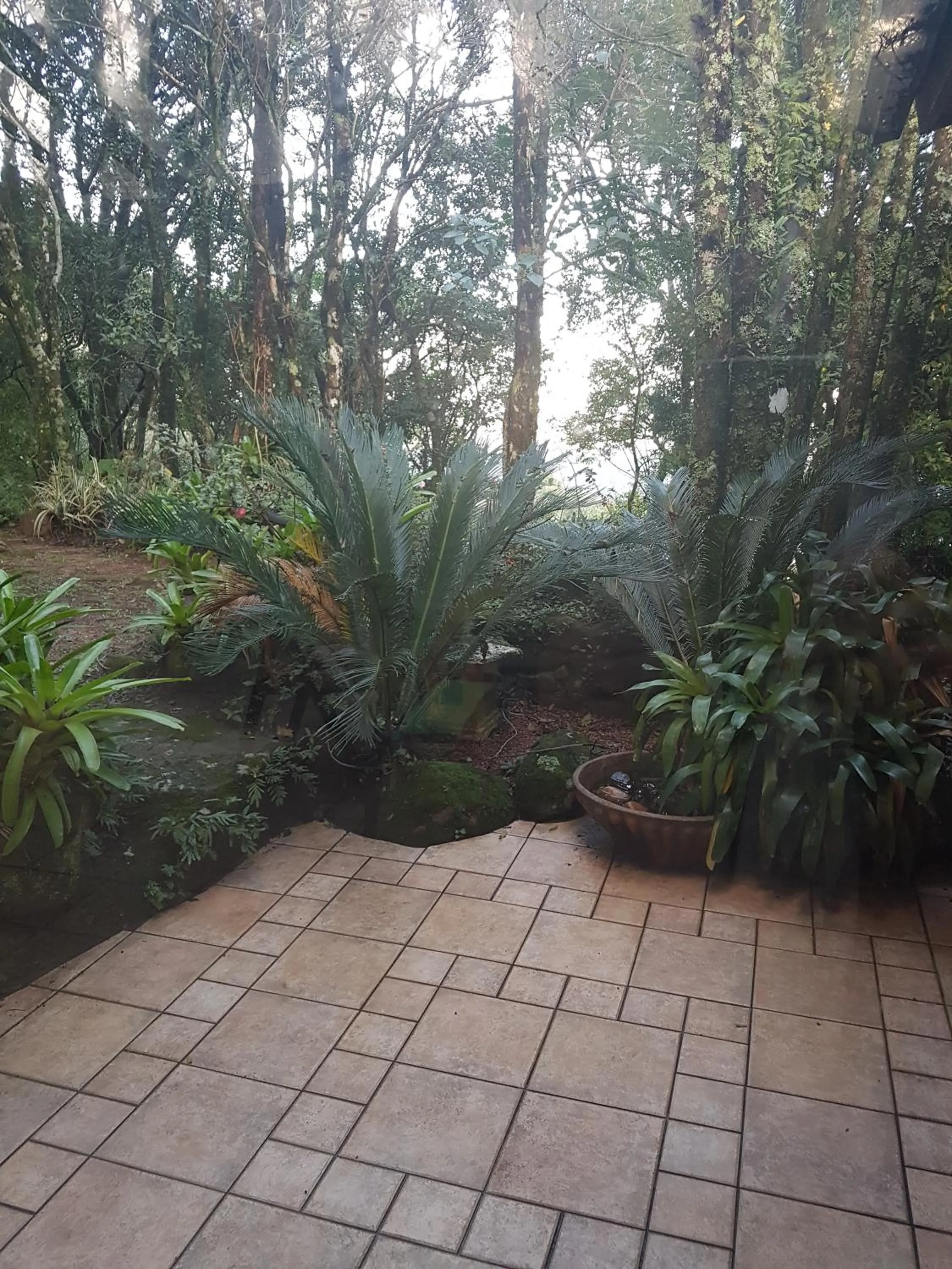 Garden in Refúgio da natureza