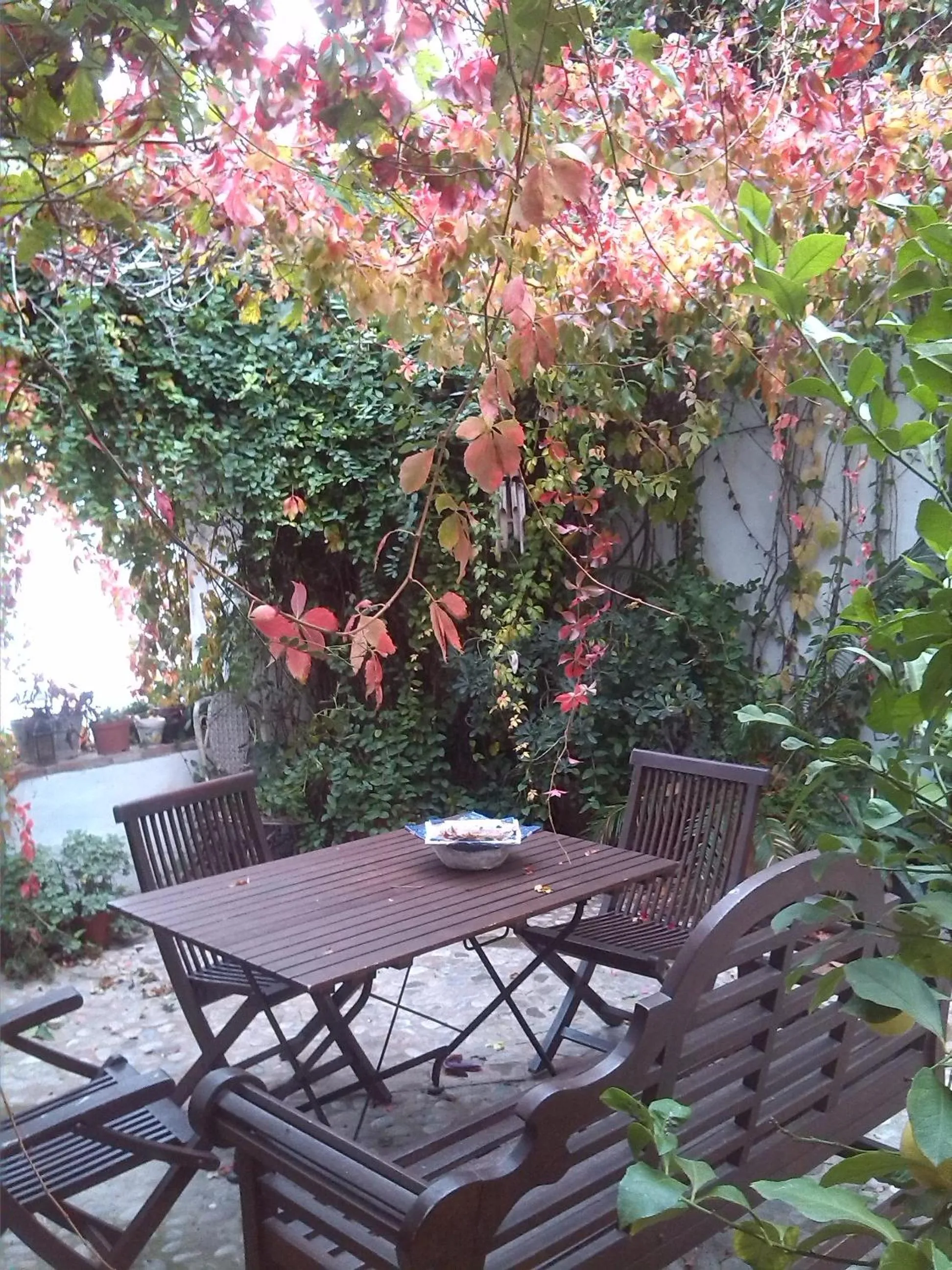 Patio in La Casa de Bovedas Charming Inn