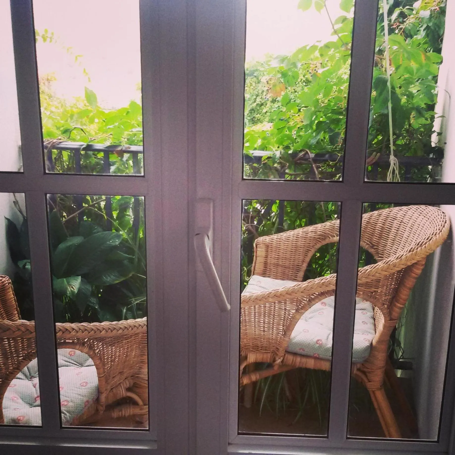 Balcony/Terrace in La Casa de Bovedas Charming Inn