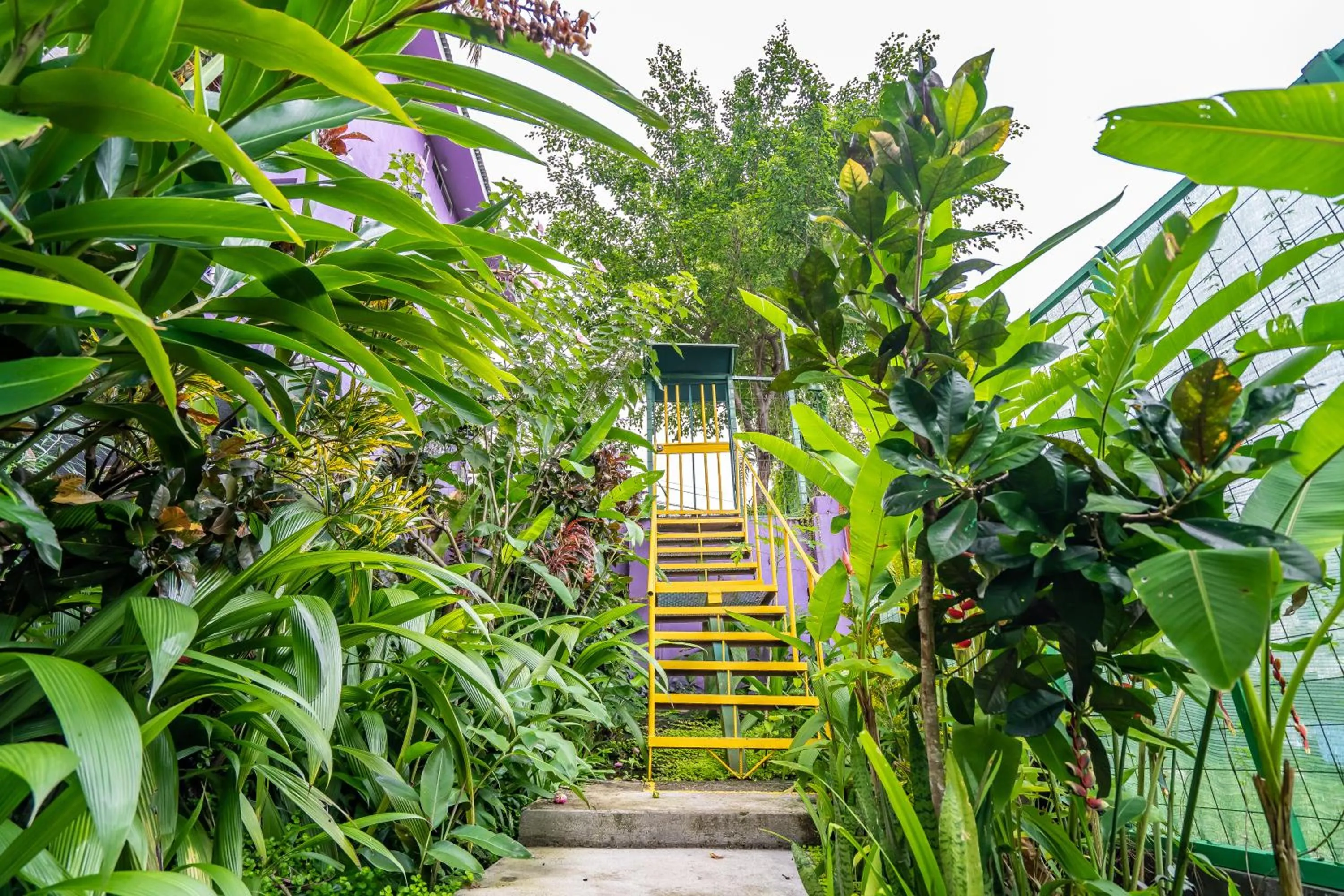 Garden in Peace of Paradise Breakfast Included Free Manuel Antonio Park Tour