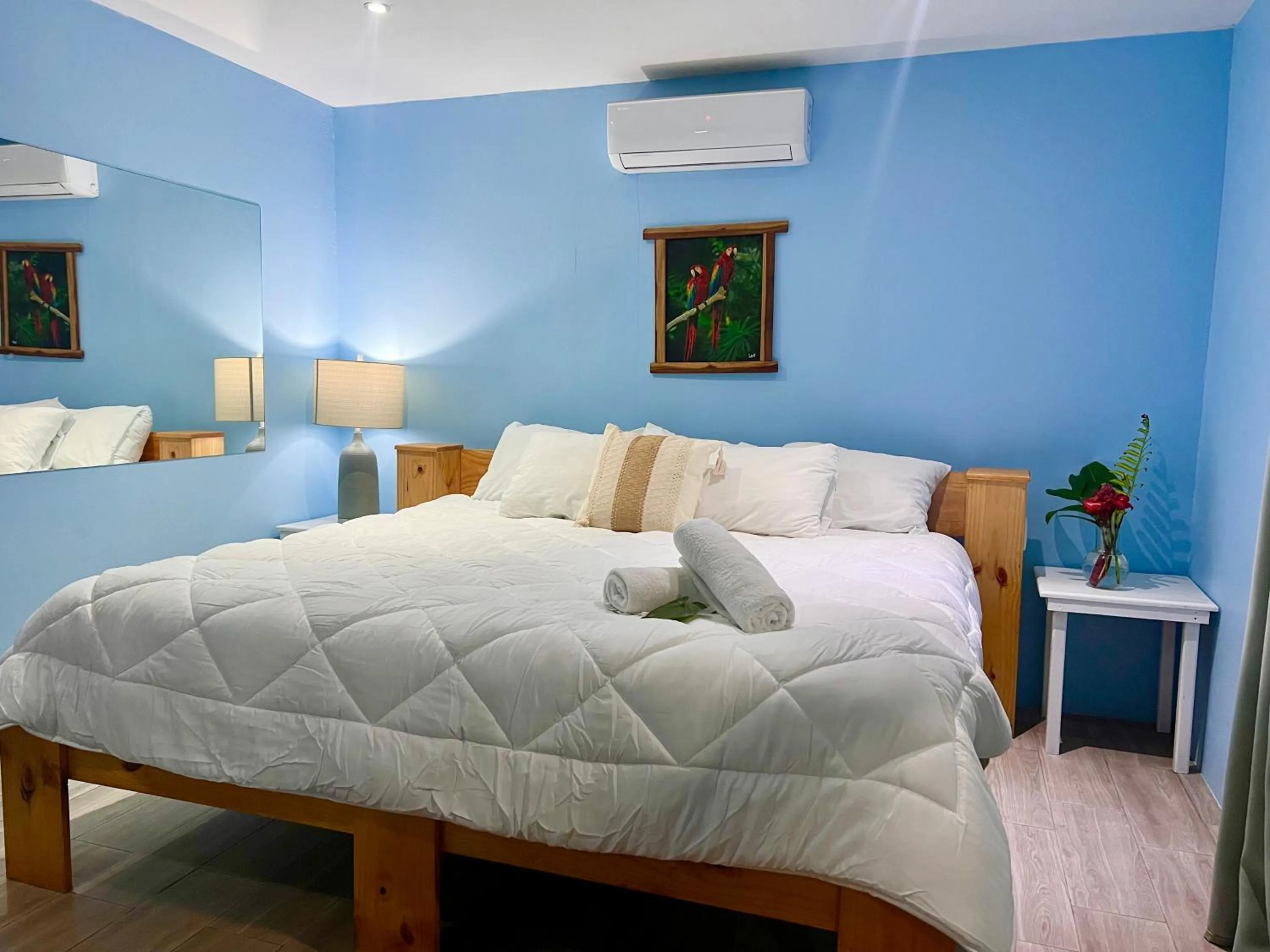 Bed in Peace of Paradise Breakfast Included Free Manuel Antonio Park Tour