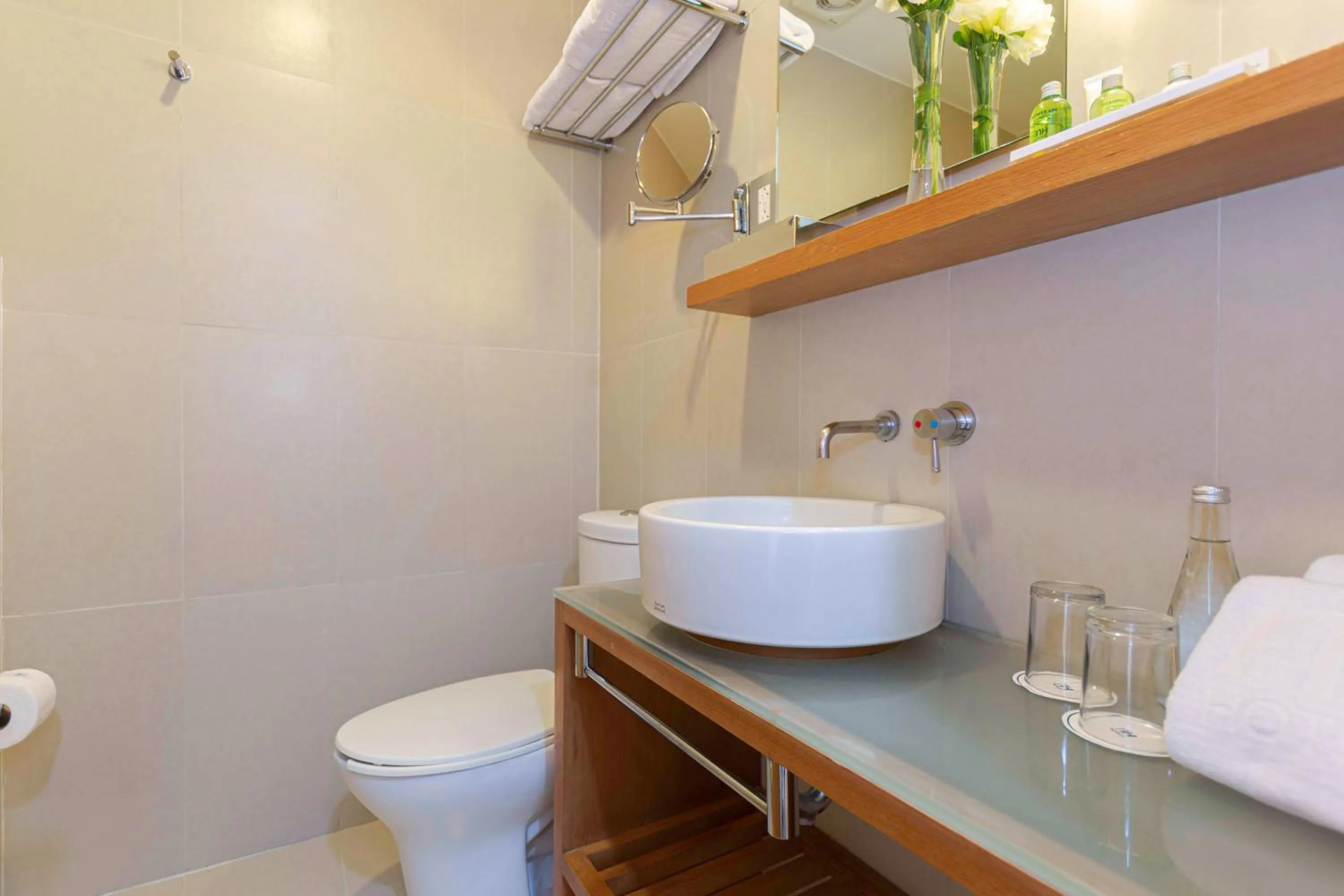 Bathroom in NH Queretaro