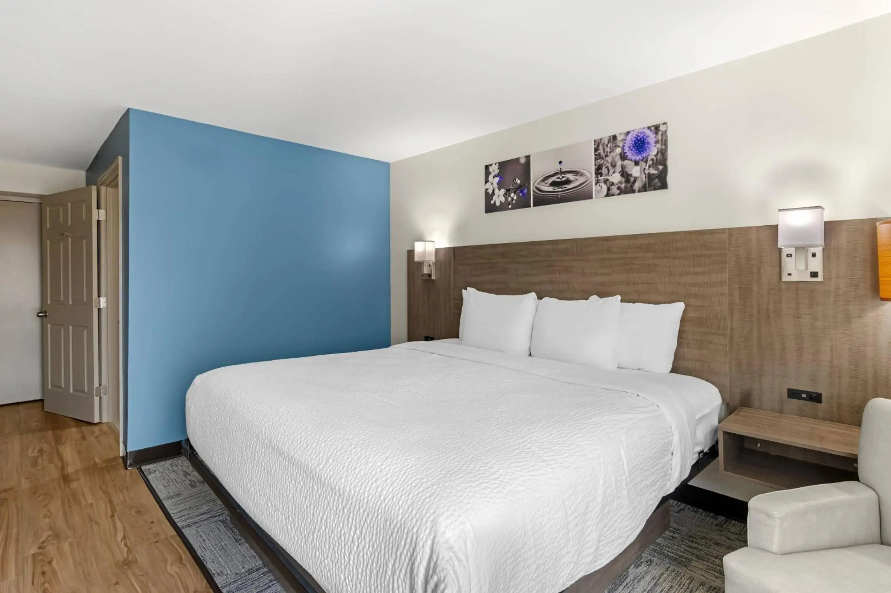 Bedroom in Sleep Inn Franklin - Cool Springs Bedroom in Sleep Inn Franklin - Cool Springs