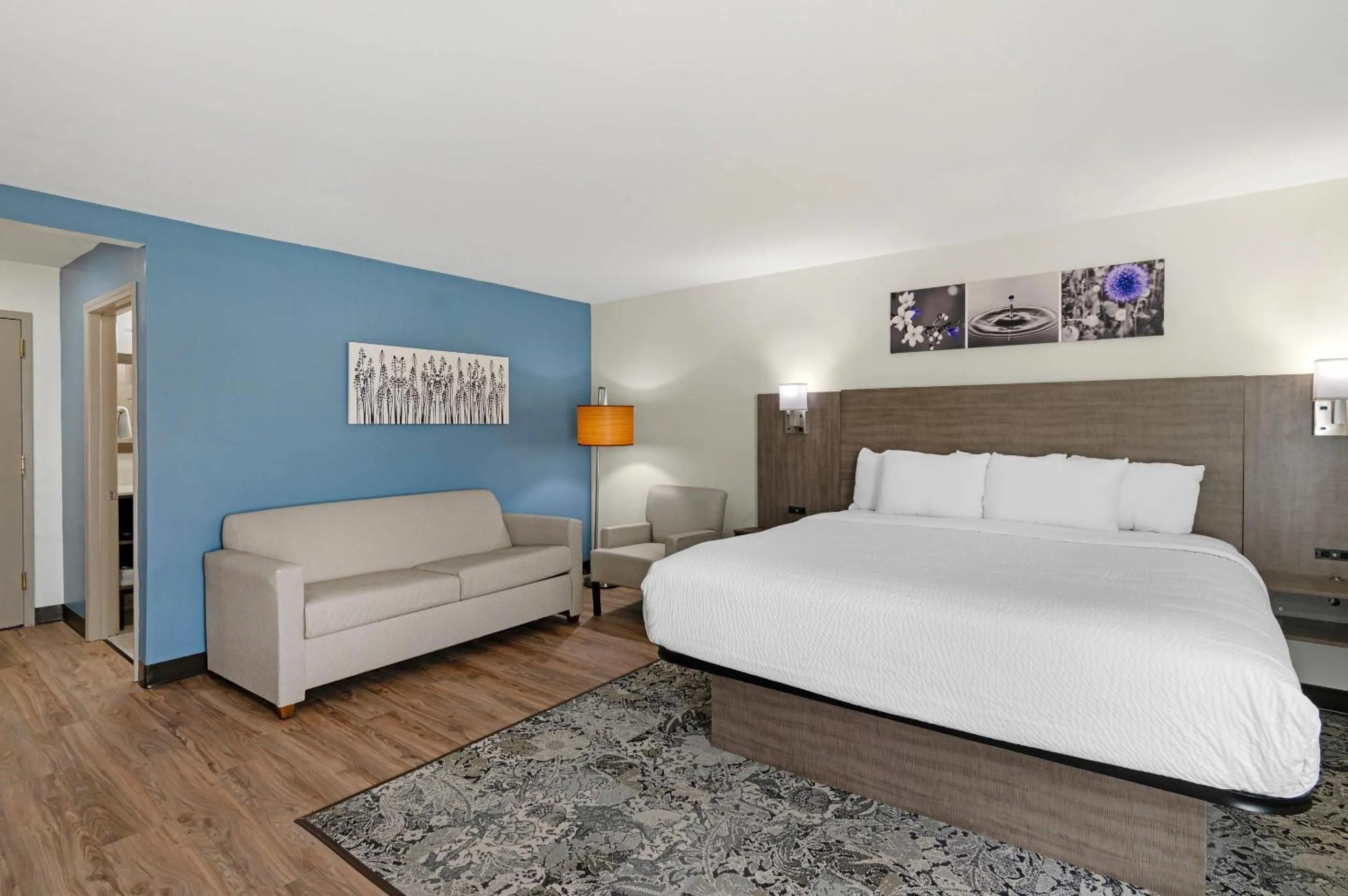 Bedroom, Bed in Sleep Inn Franklin - Cool Springs