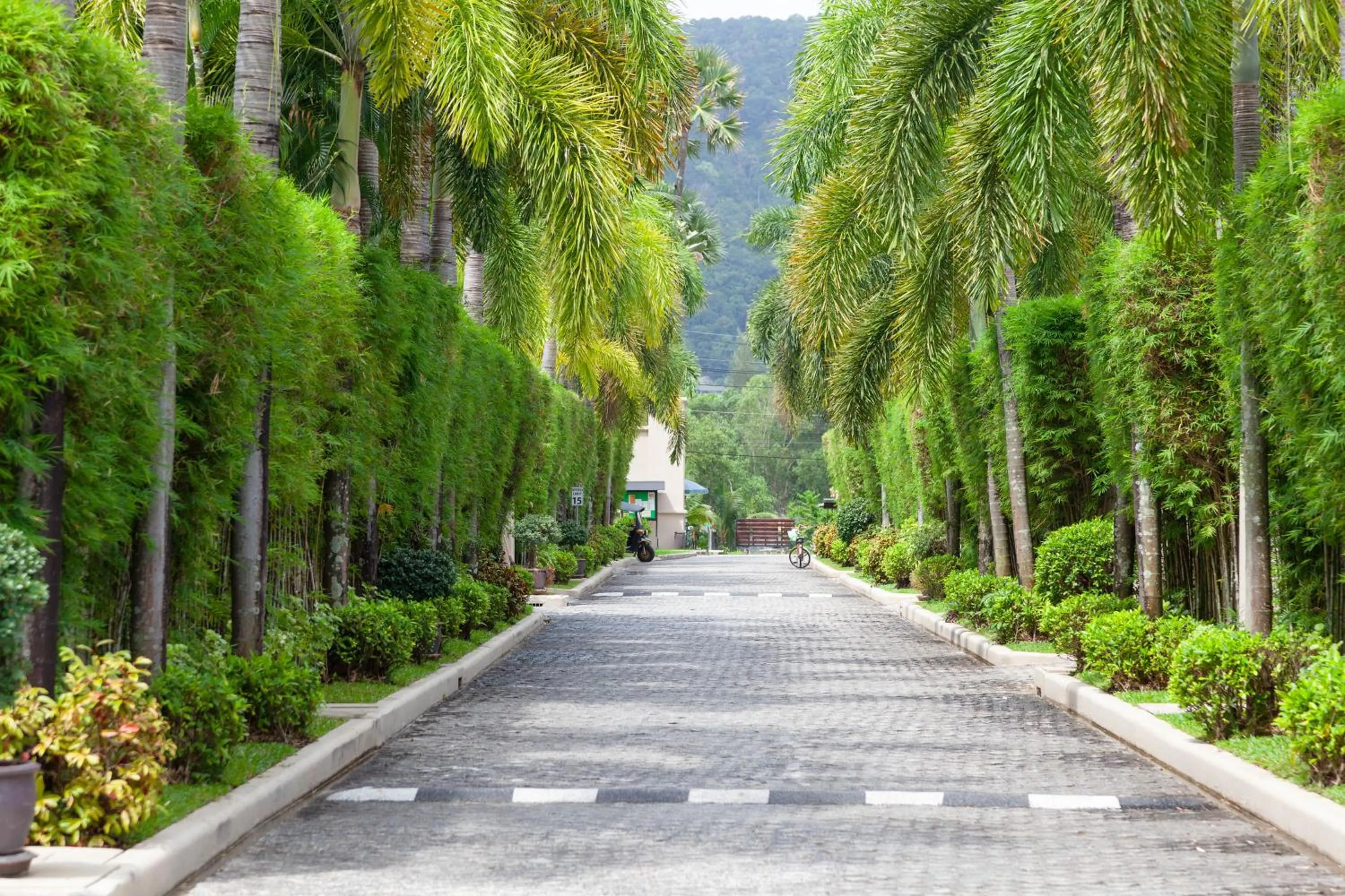Property building in The Residence Resort