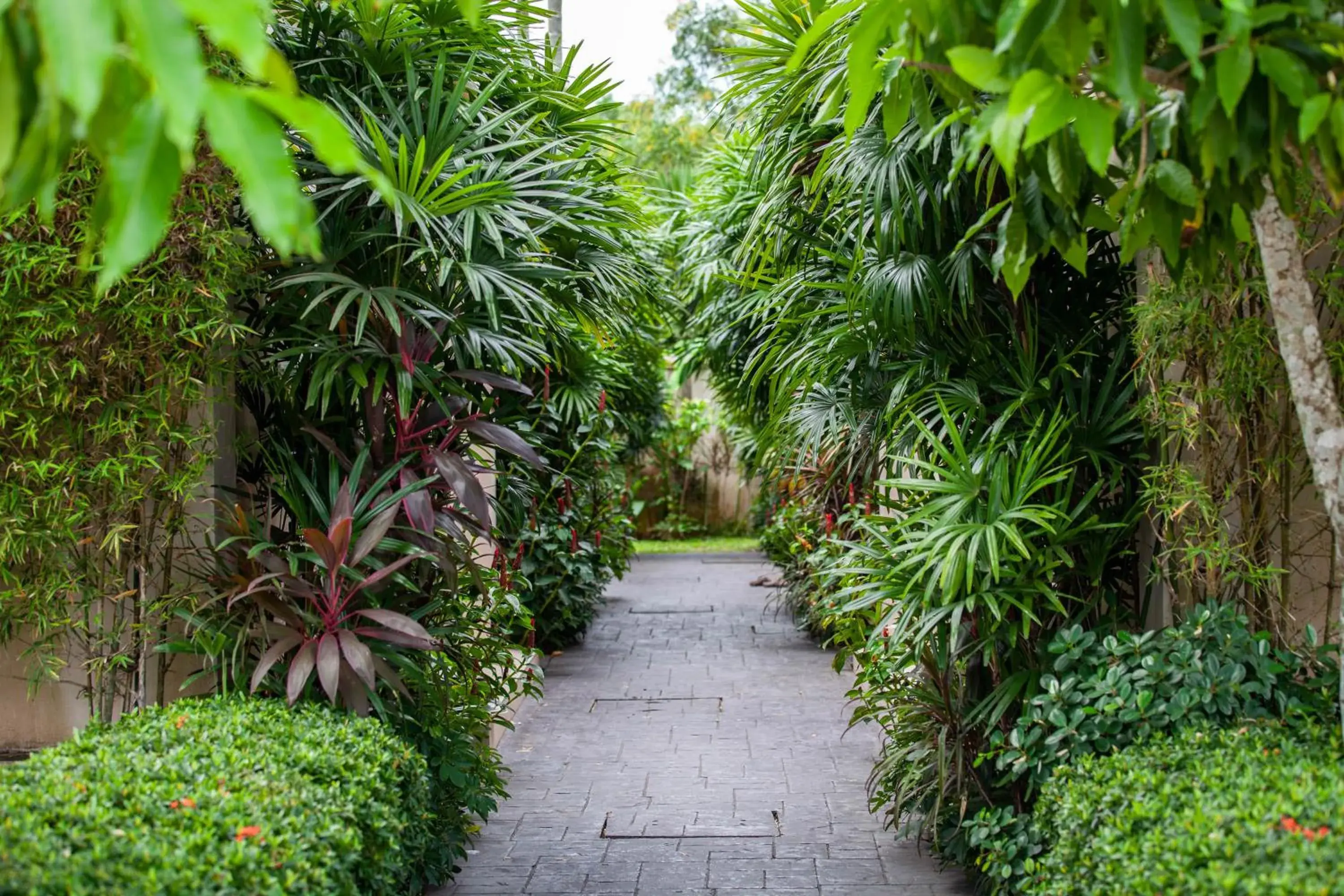 Property building in The Residence Resort Property building in The Residence Resort