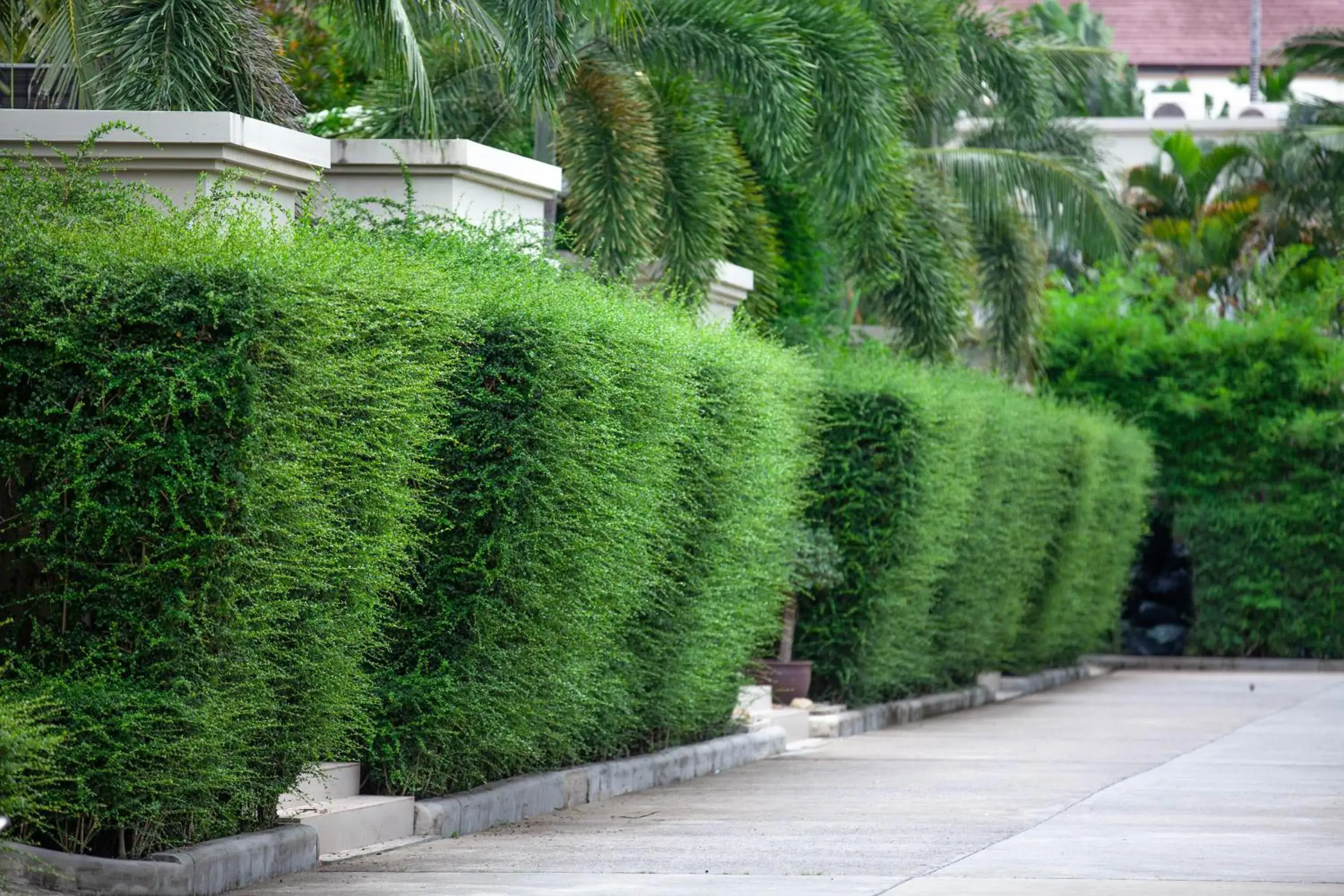 Property building in The Residence Resort Property building in The Residence Resort