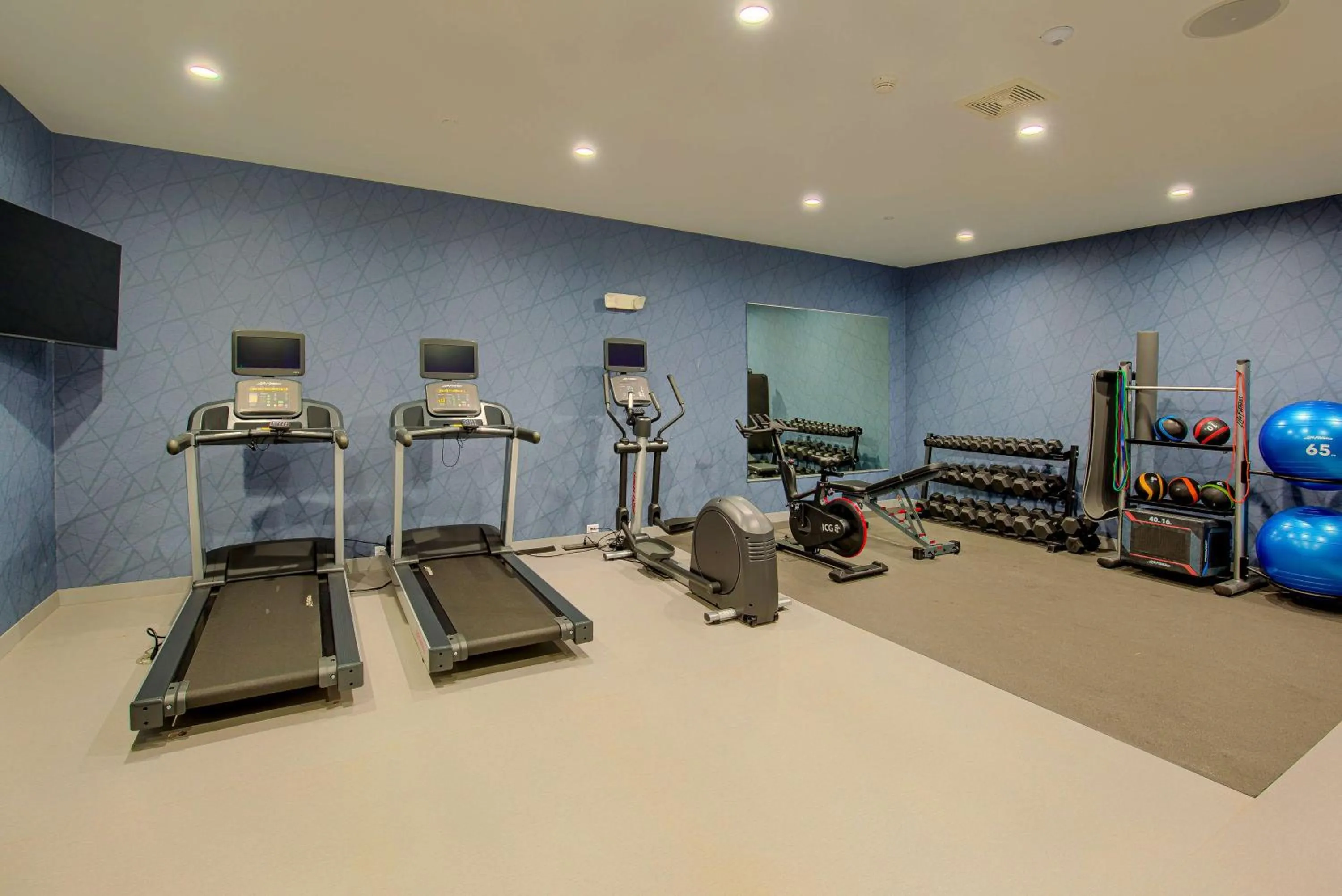 Fitness centre/facilities in Homewood Suites by Hilton South Bend Notre Dame Area
