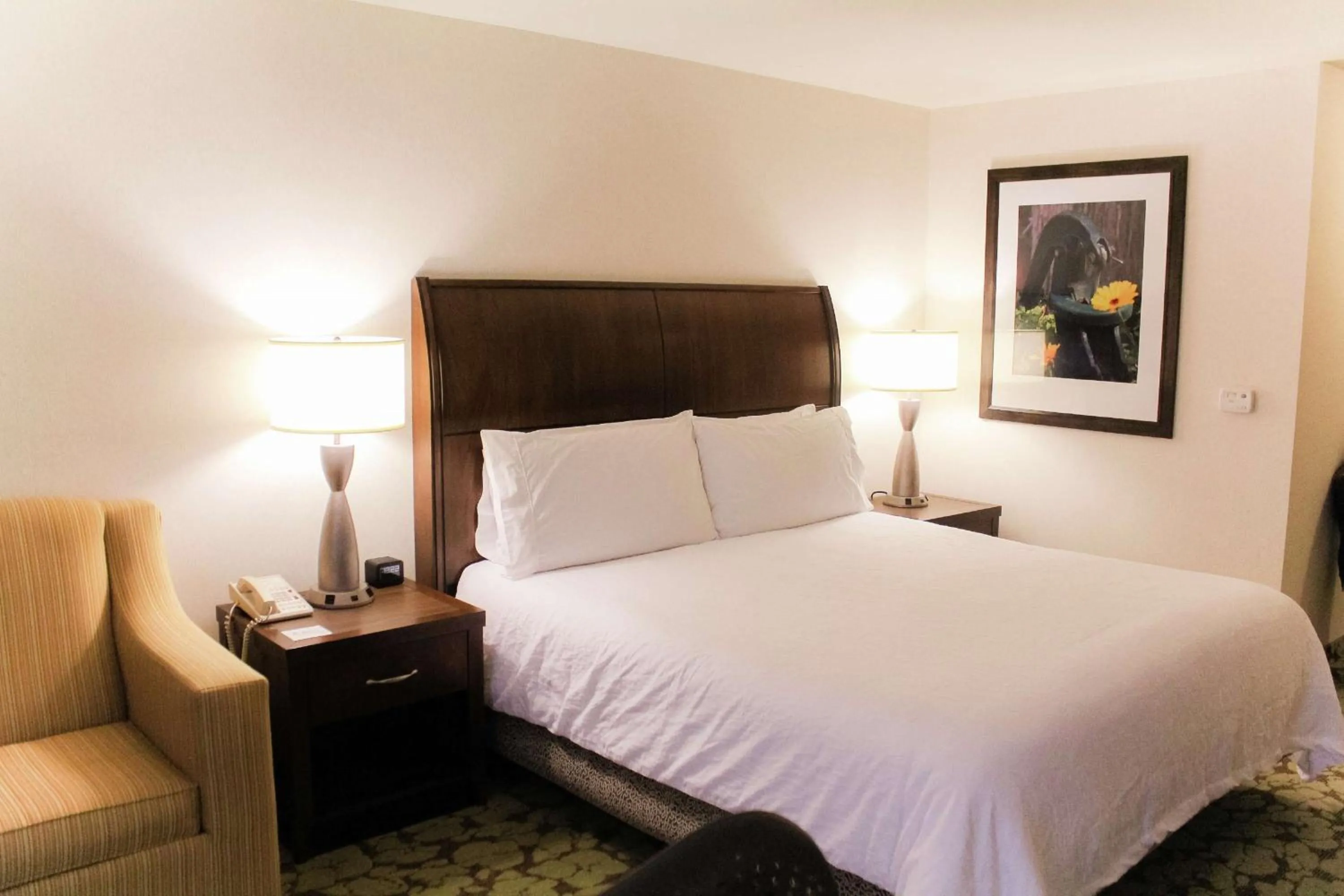 Living room, Bed in Hilton Garden Inn Redding