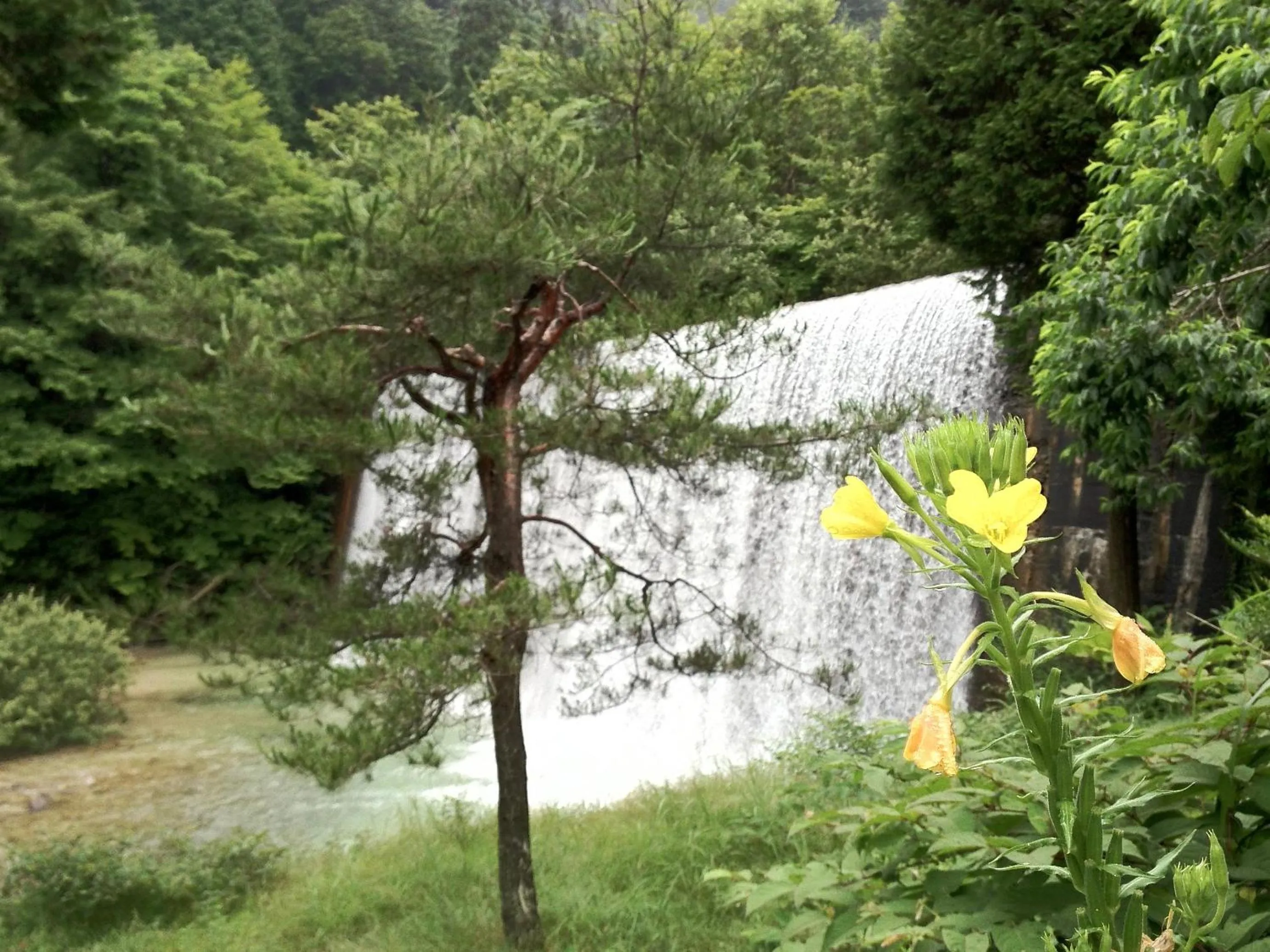 River view in Takimi Onsen Inn that only accepts one group per day