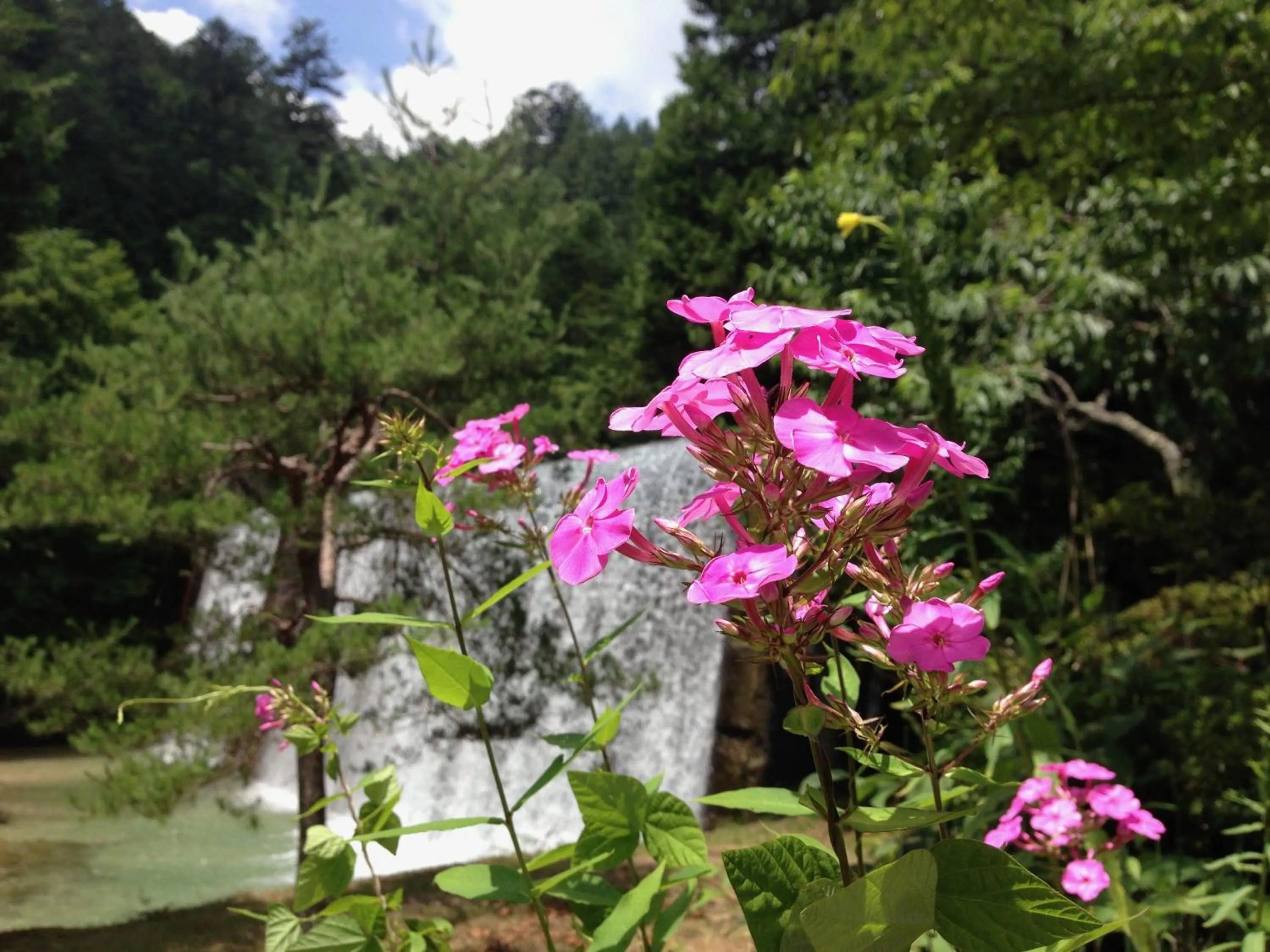 River view in Takimi Onsen Inn that only accepts one group per day