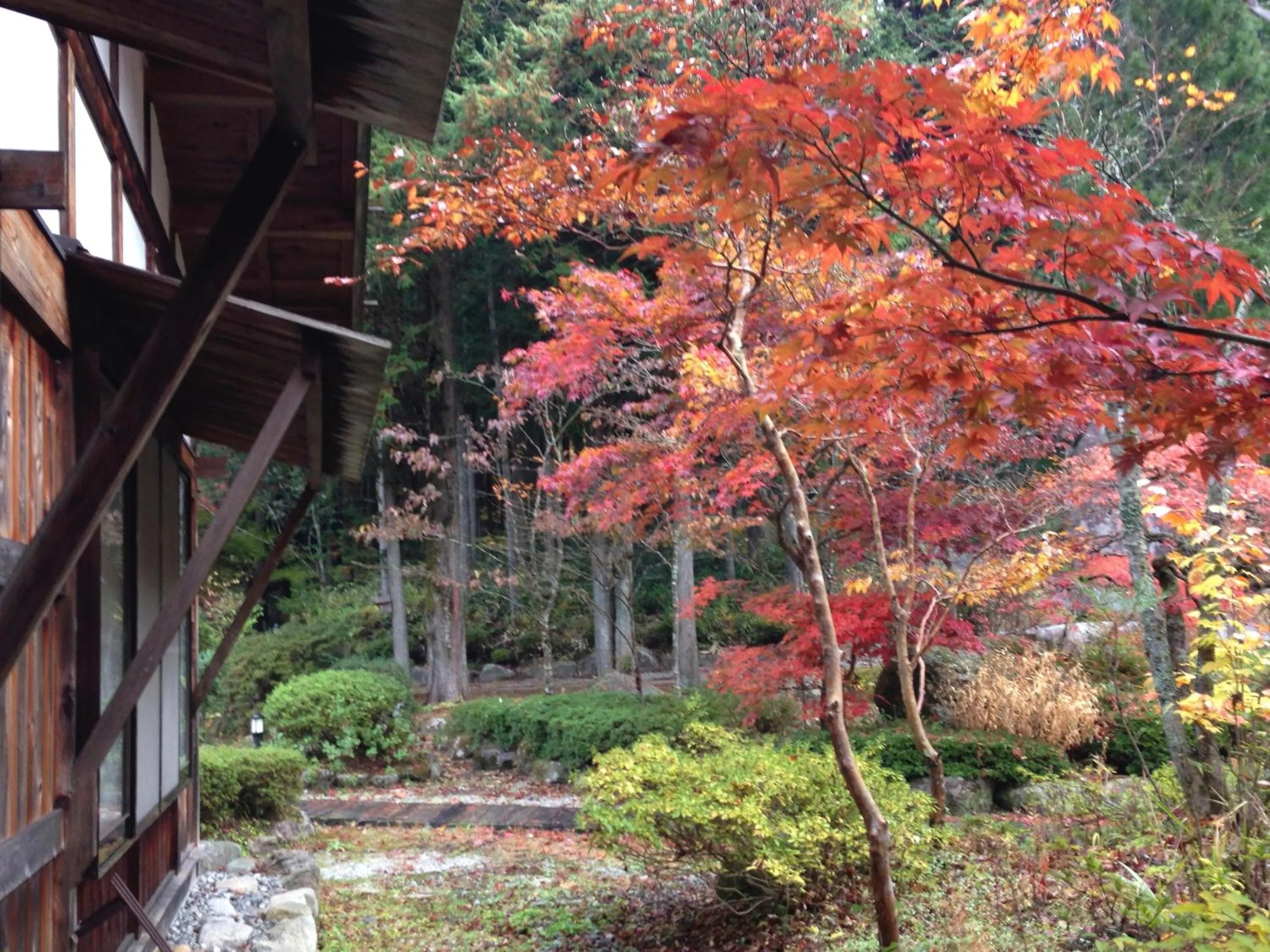 Garden view in Takimi Onsen Inn that only accepts one group per day