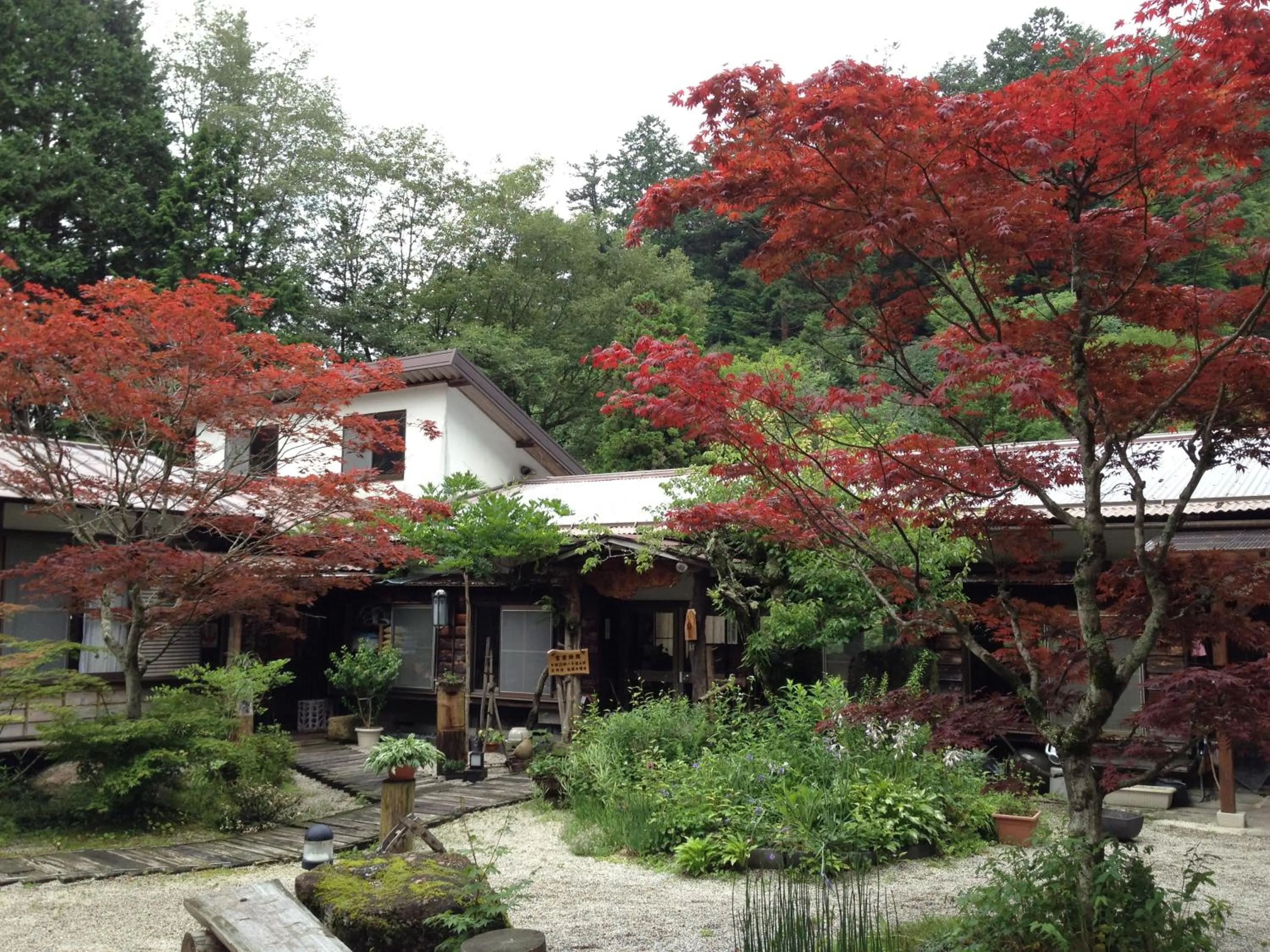 Garden view in Takimi Onsen Inn that only accepts one group per day