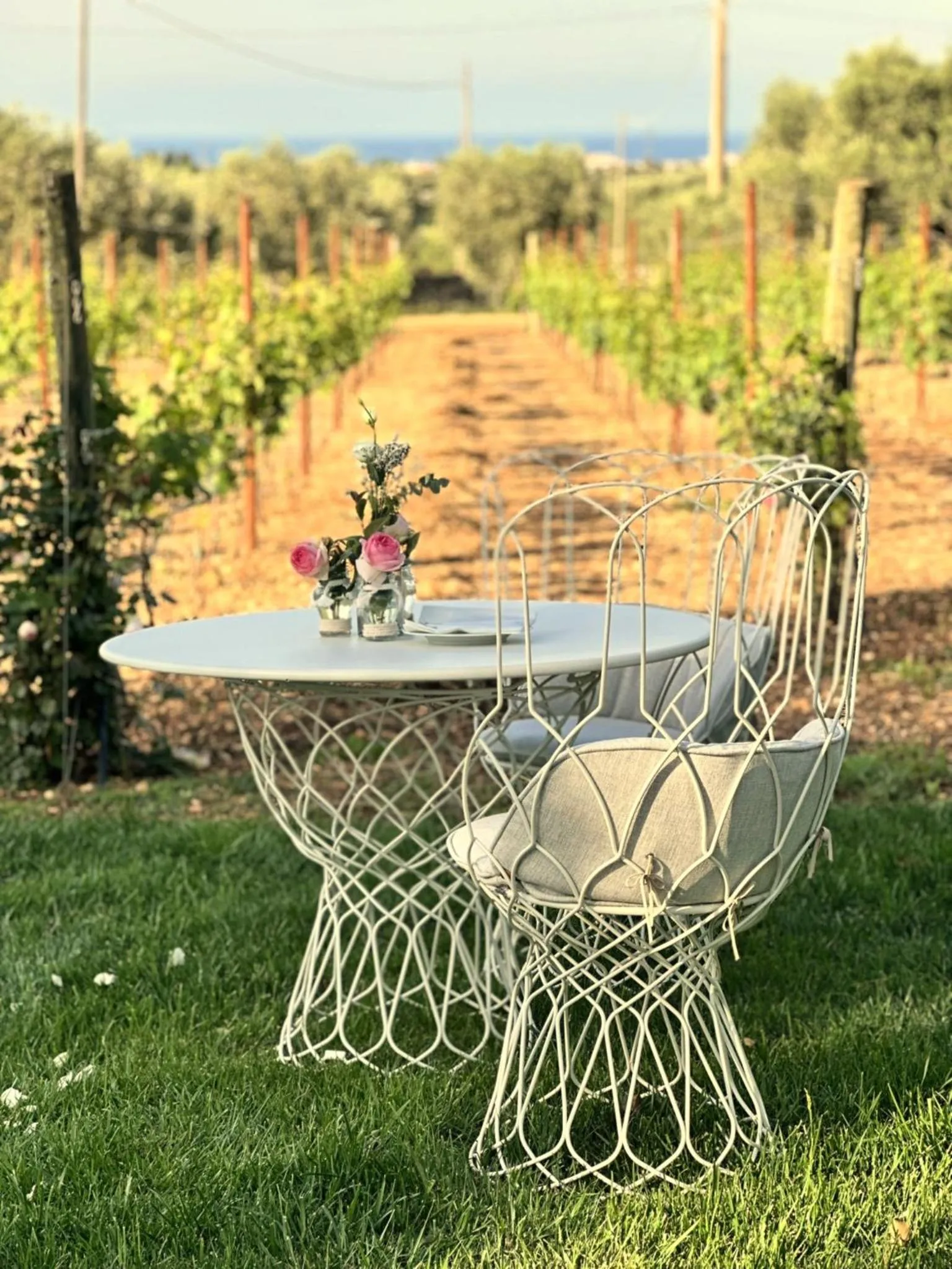 Garden in Masseria Salamina