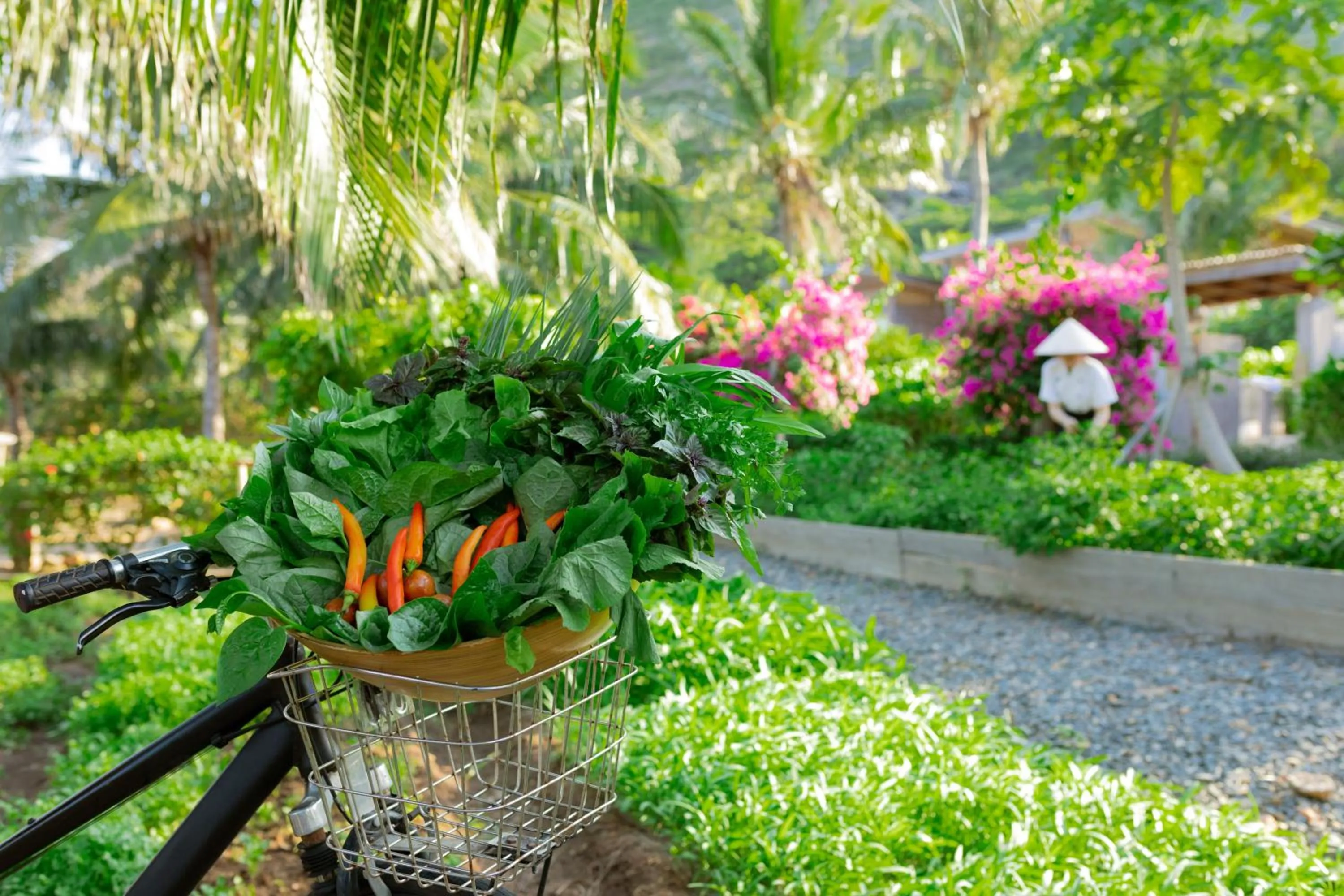 Garden in Six Senses Con Dao - Turtle Island Paradise