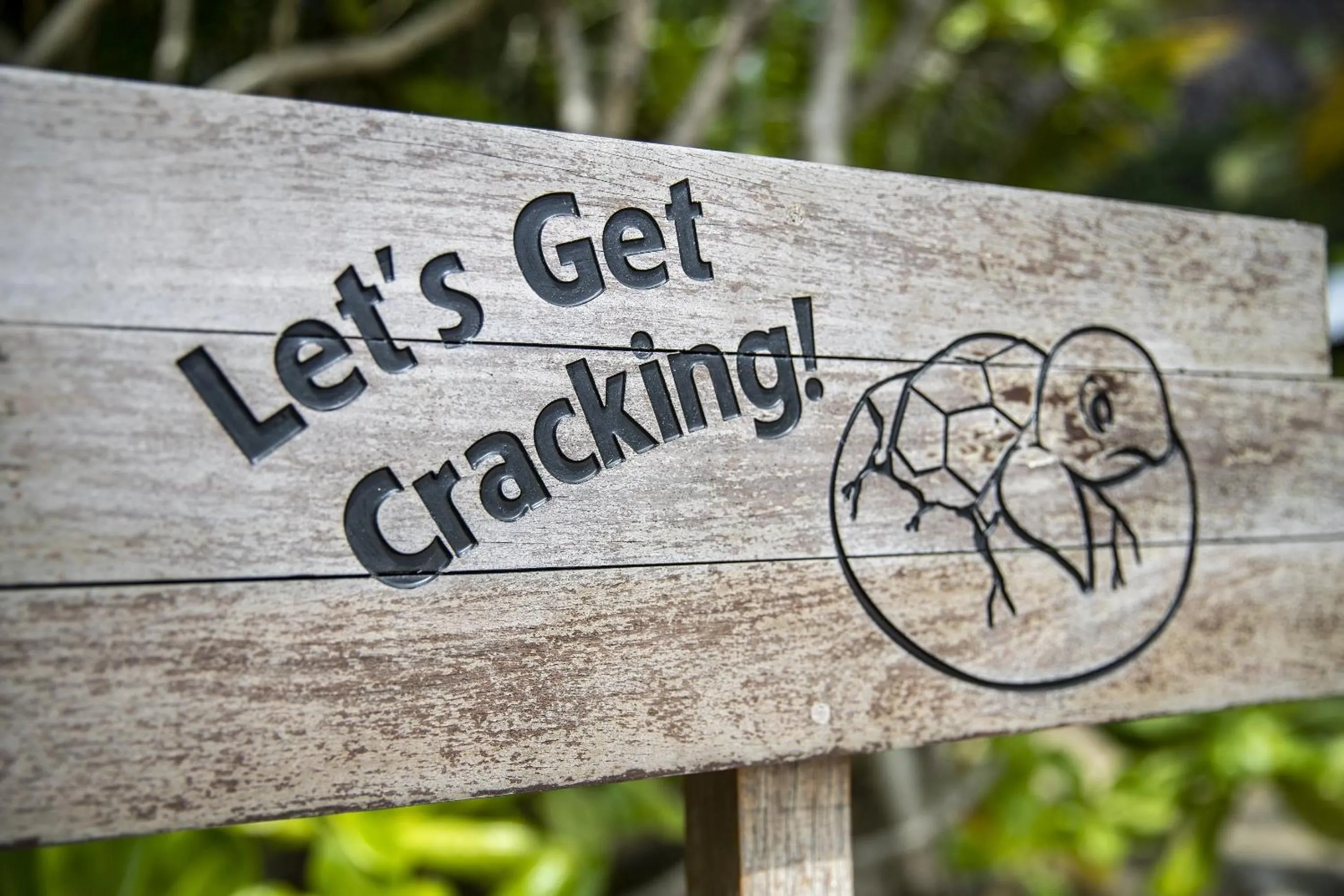 Activities in Six Senses Con Dao - Turtle Island Paradise