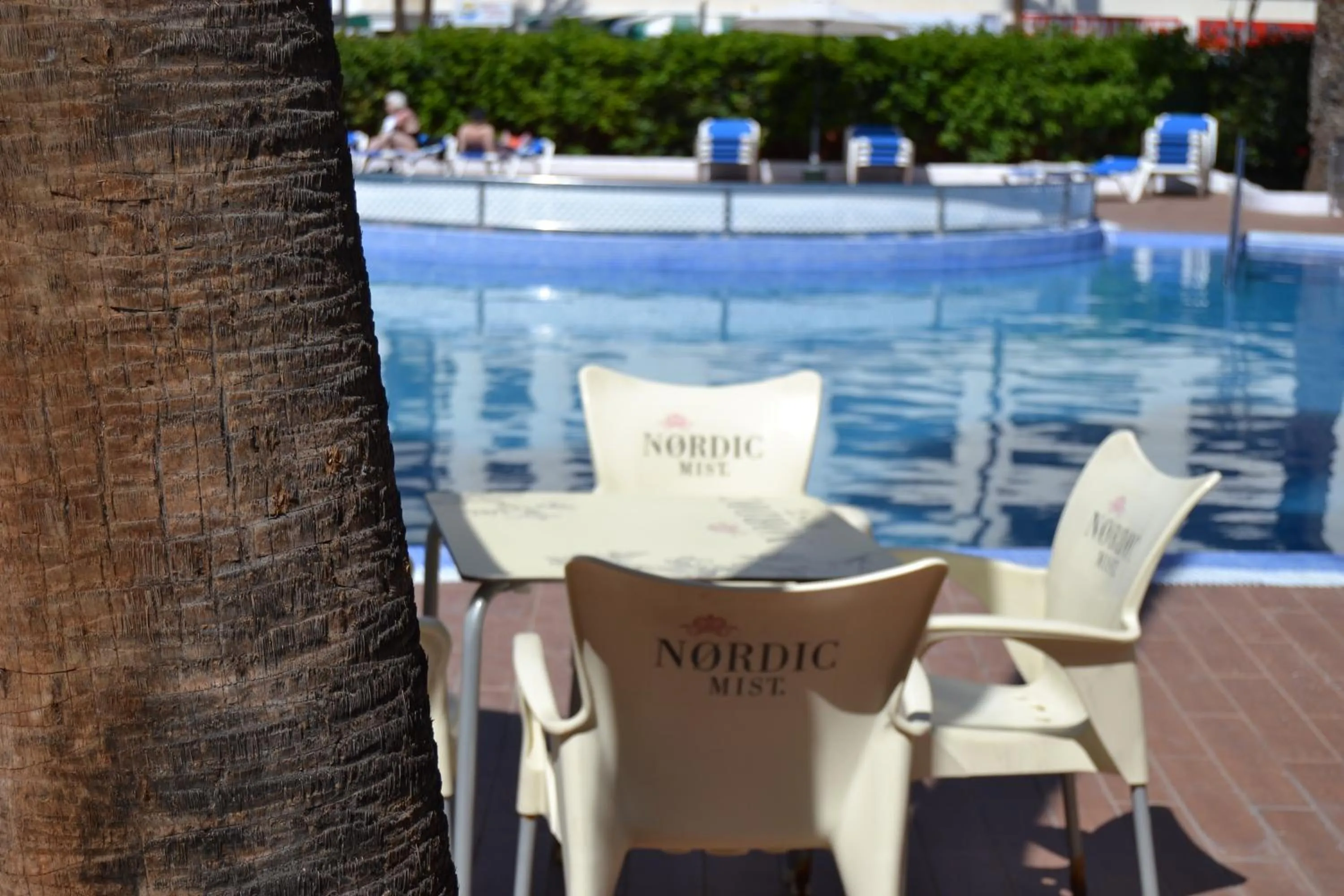 Swimming pool in Playa Del Sol - Adults Only