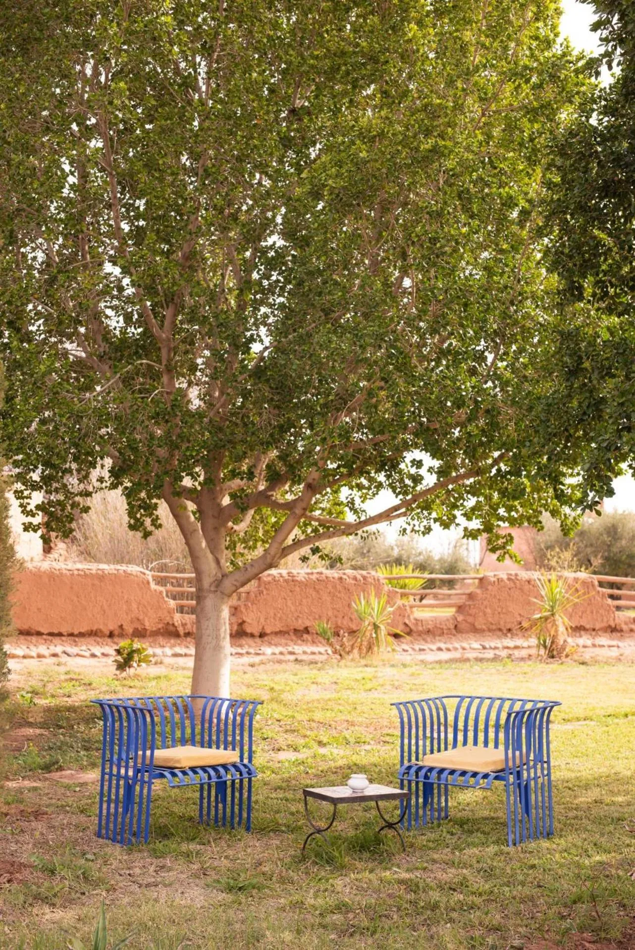 Spring in Jnane Allia