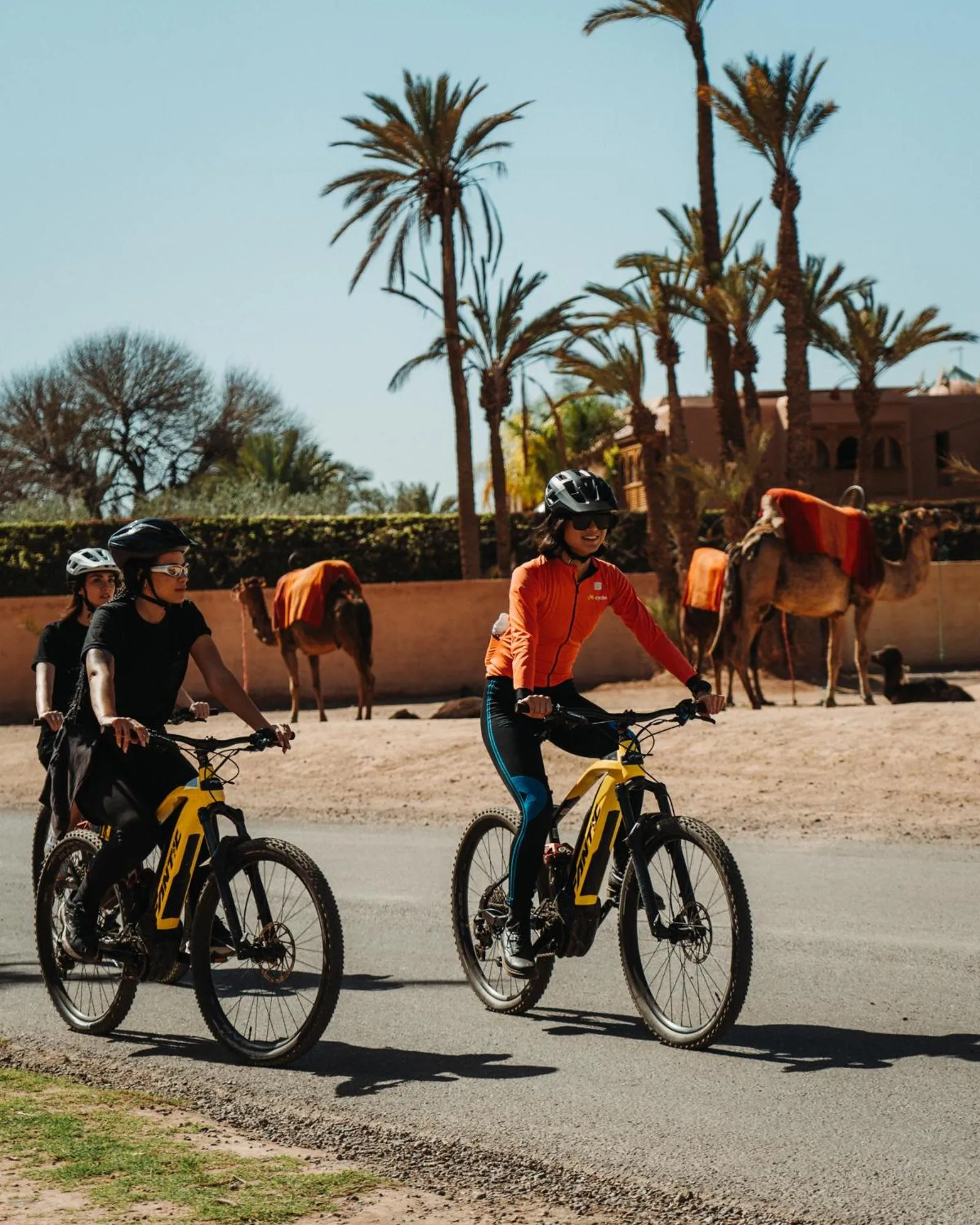 Activities in Jnane Allia