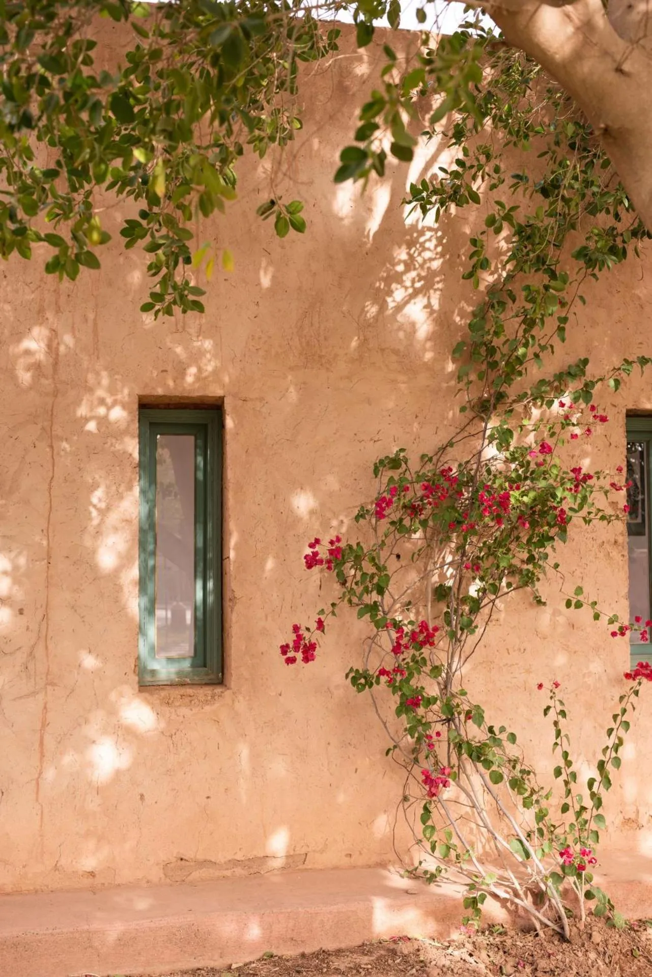 Spring in Jnane Allia