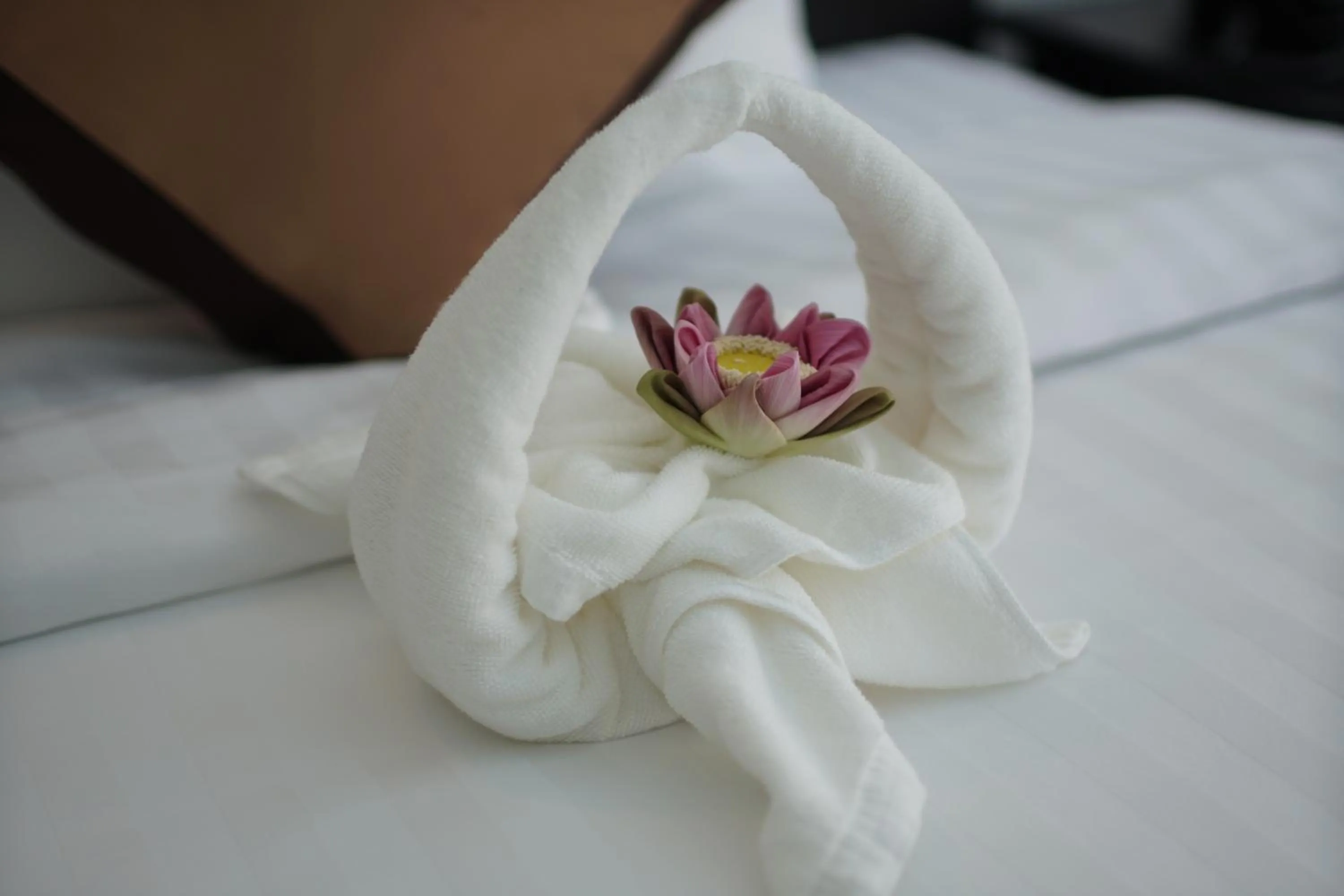 Decorative detail, Bed in Aroma Angkor Boutique Hotel