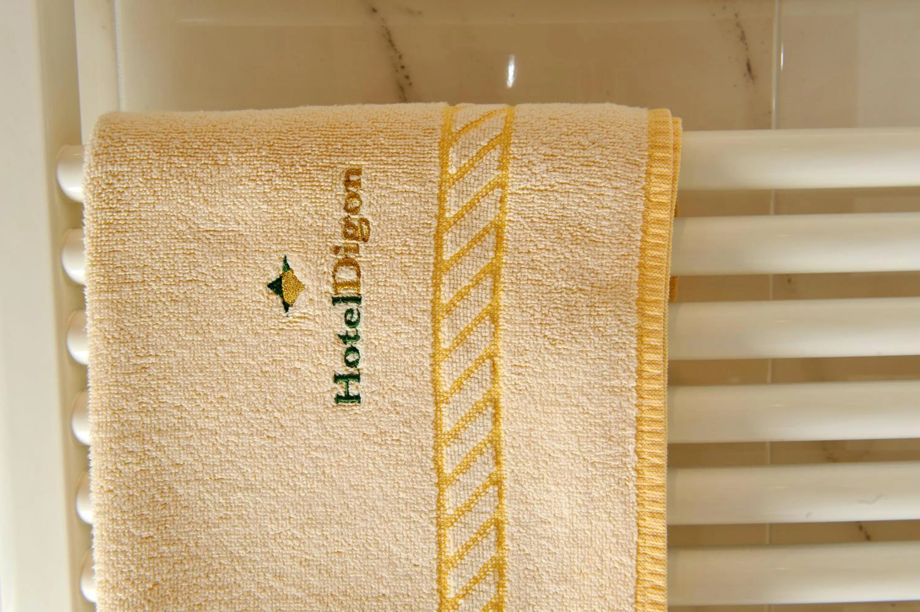 Bathroom in Hotel Digon