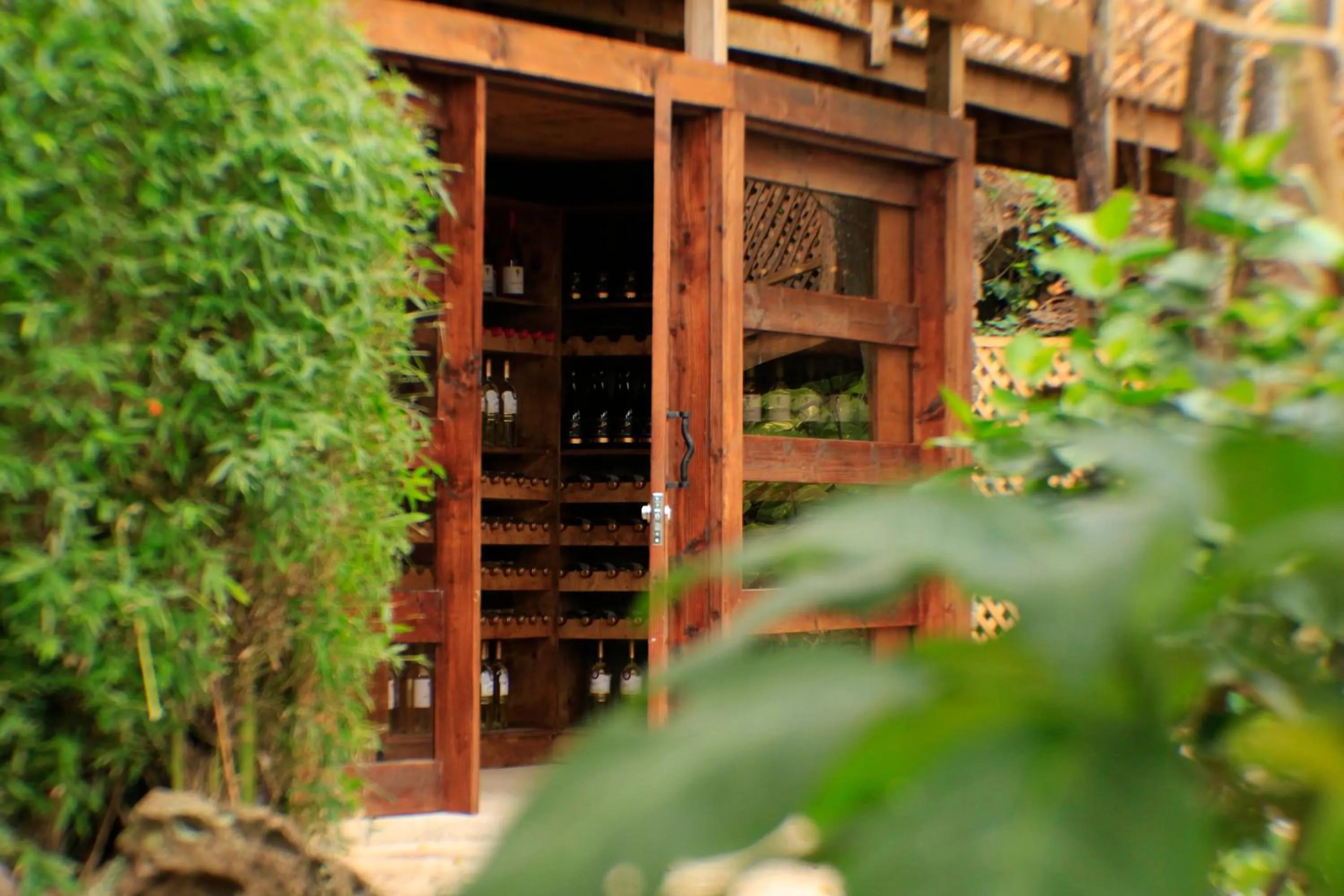 Garden in Easter Island Ecolodge