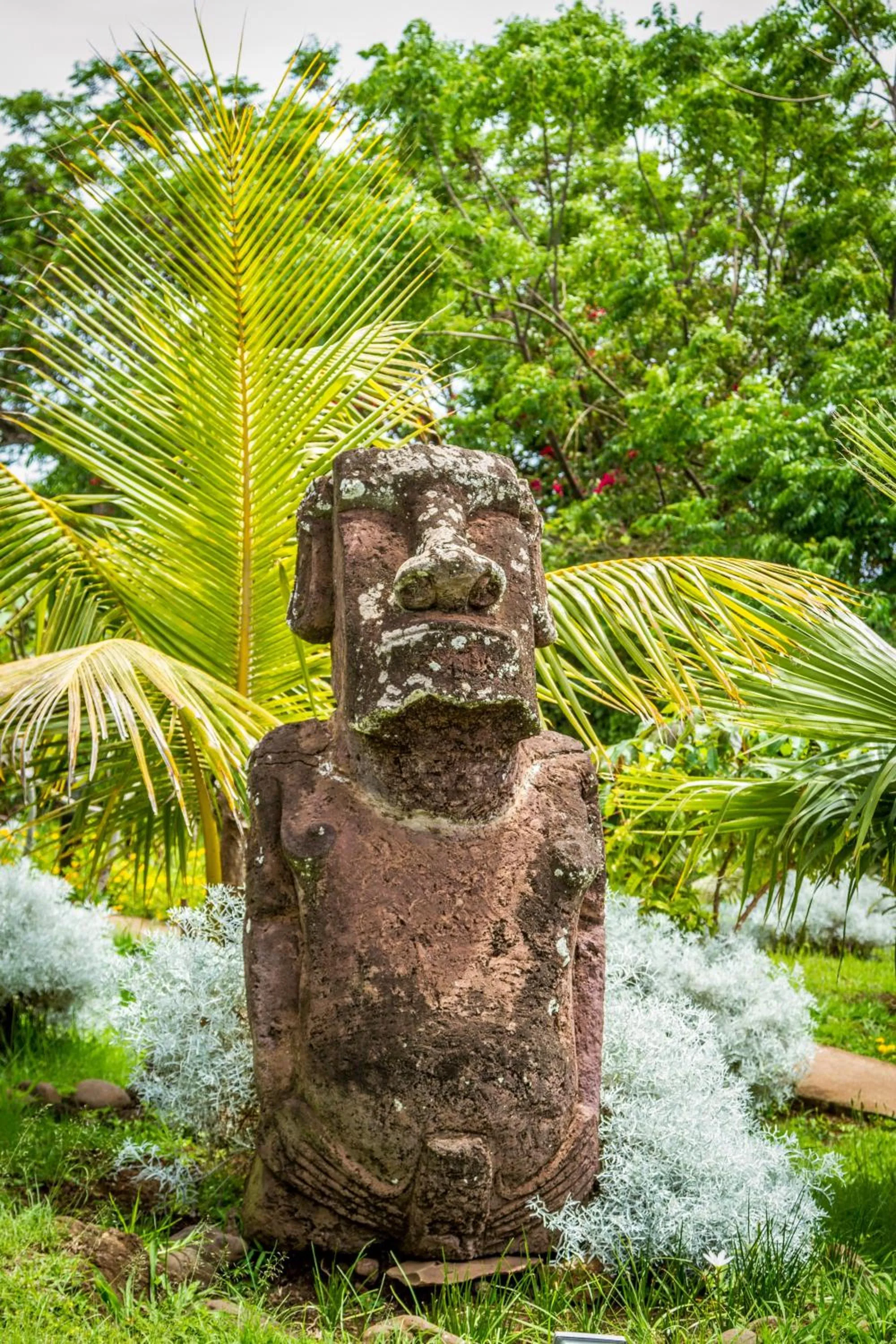Natural landscape in Easter Island Ecolodge