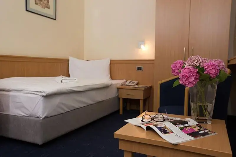 Standard Single Room in Hotel Tomislavov Dom Standard Single Room in Hotel Tomislavov Dom