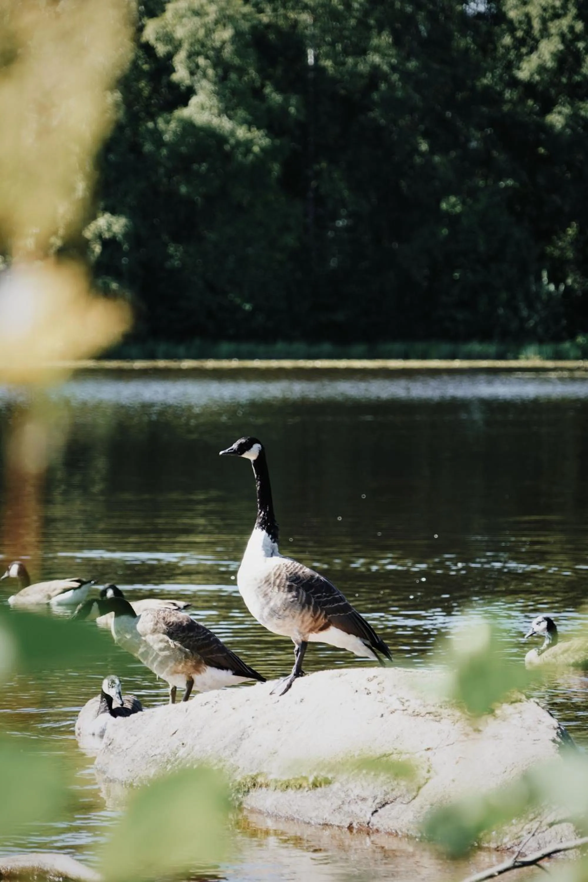 Off site in Åsby Hotell