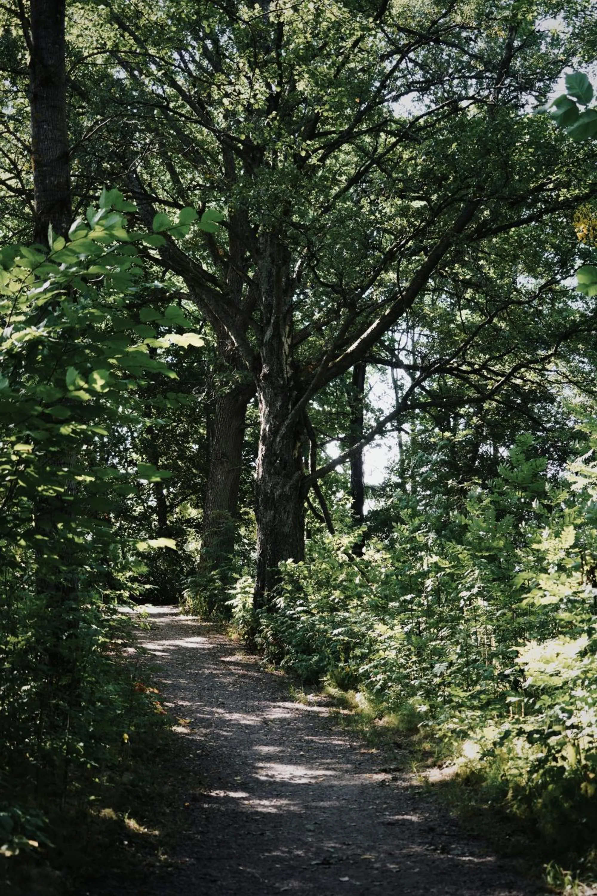 Garden in Åsby Hotell