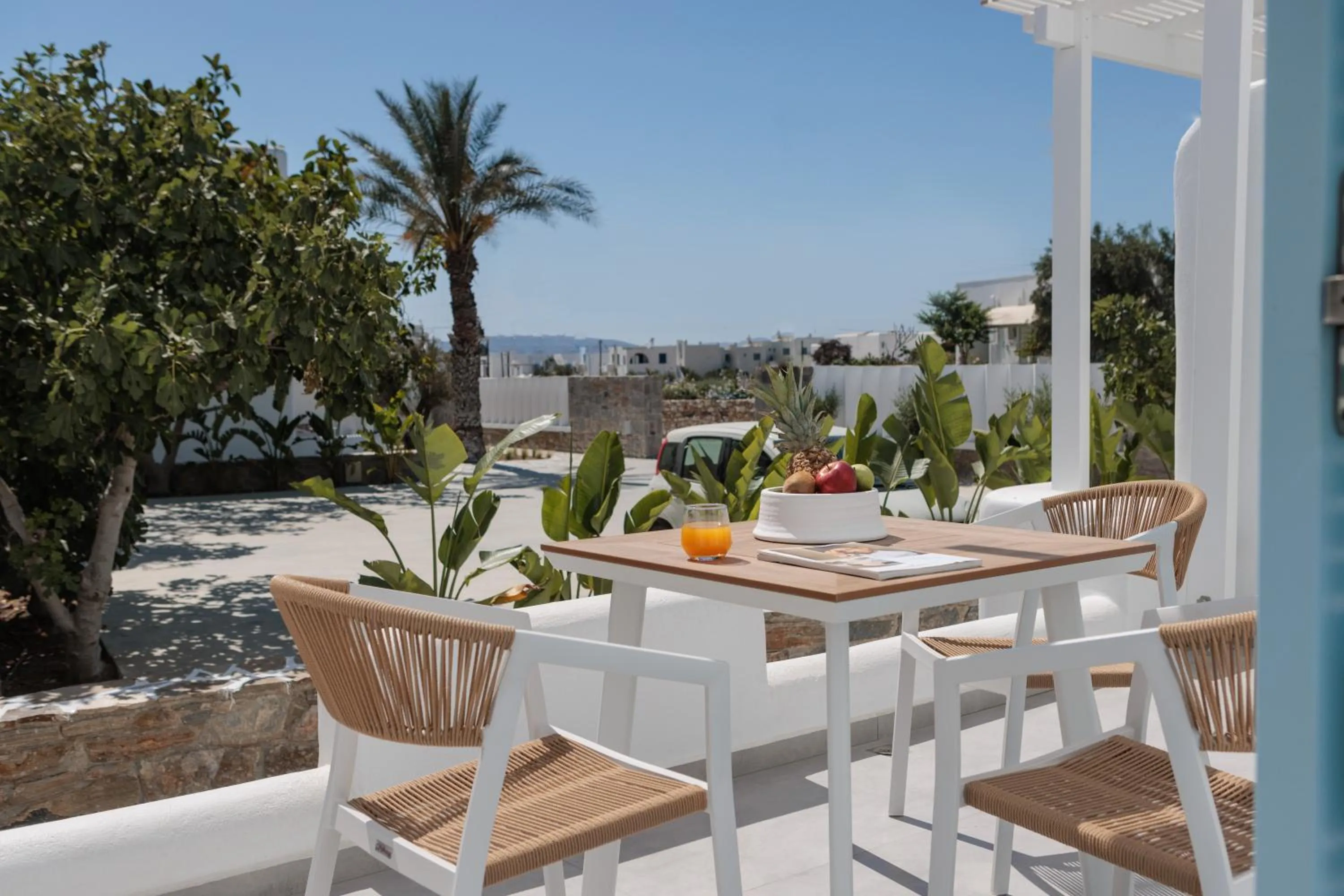 Balcony/Terrace in Agia Anna Living