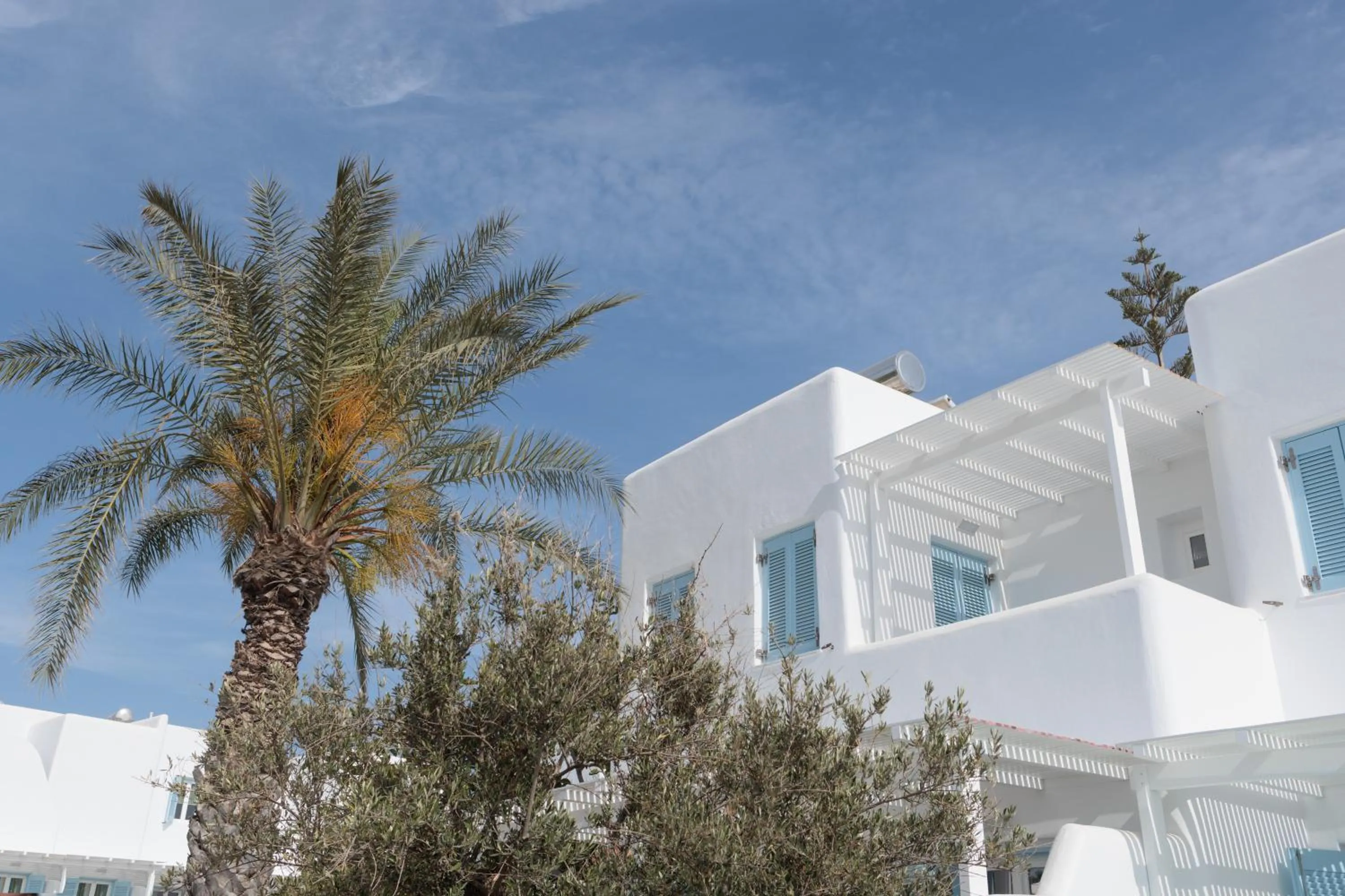 Property building in Agia Anna Living