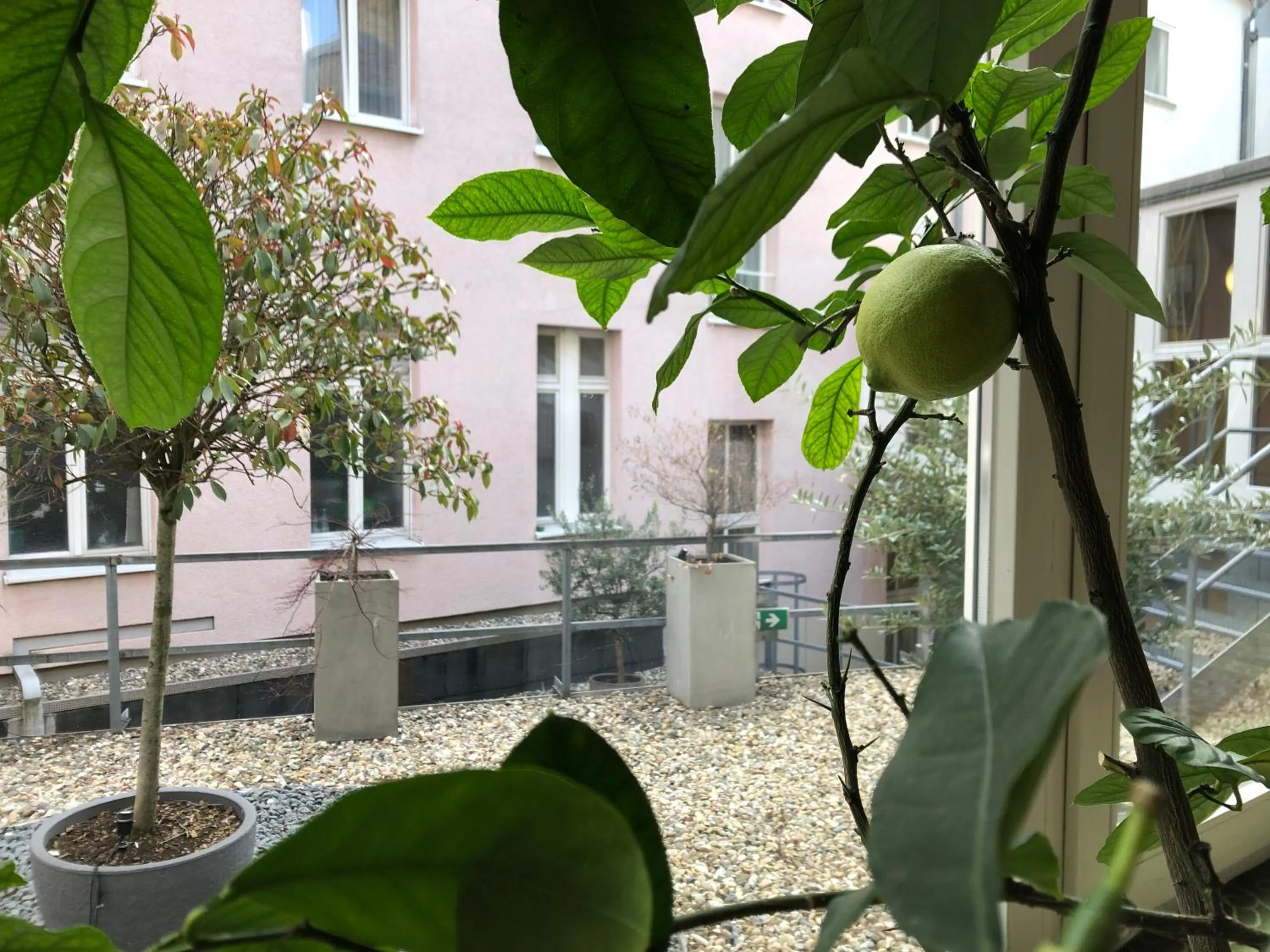 Inner courtyard view in Kaiserhof