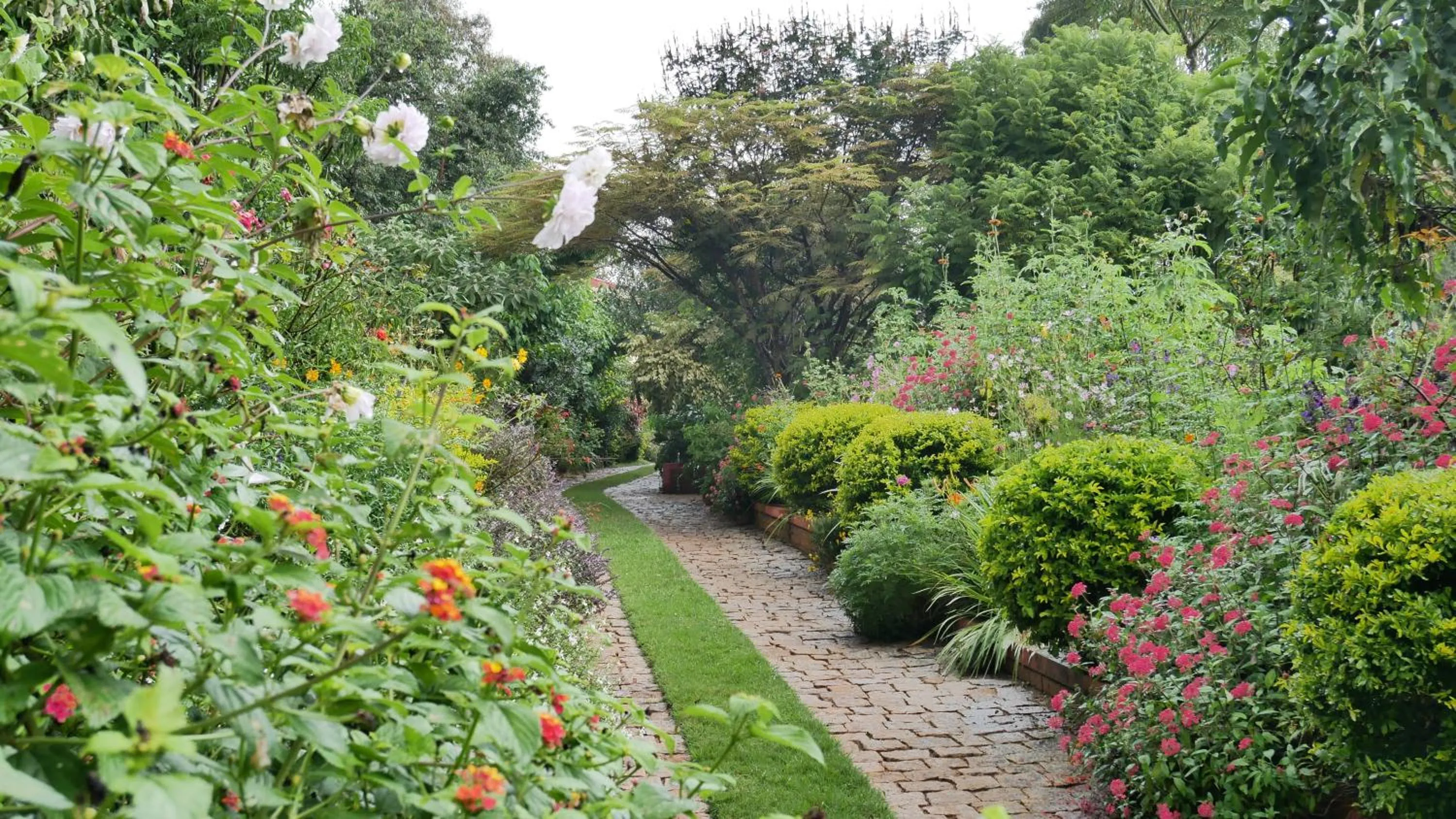 Garden view in SOUIMANGA-HOTEL