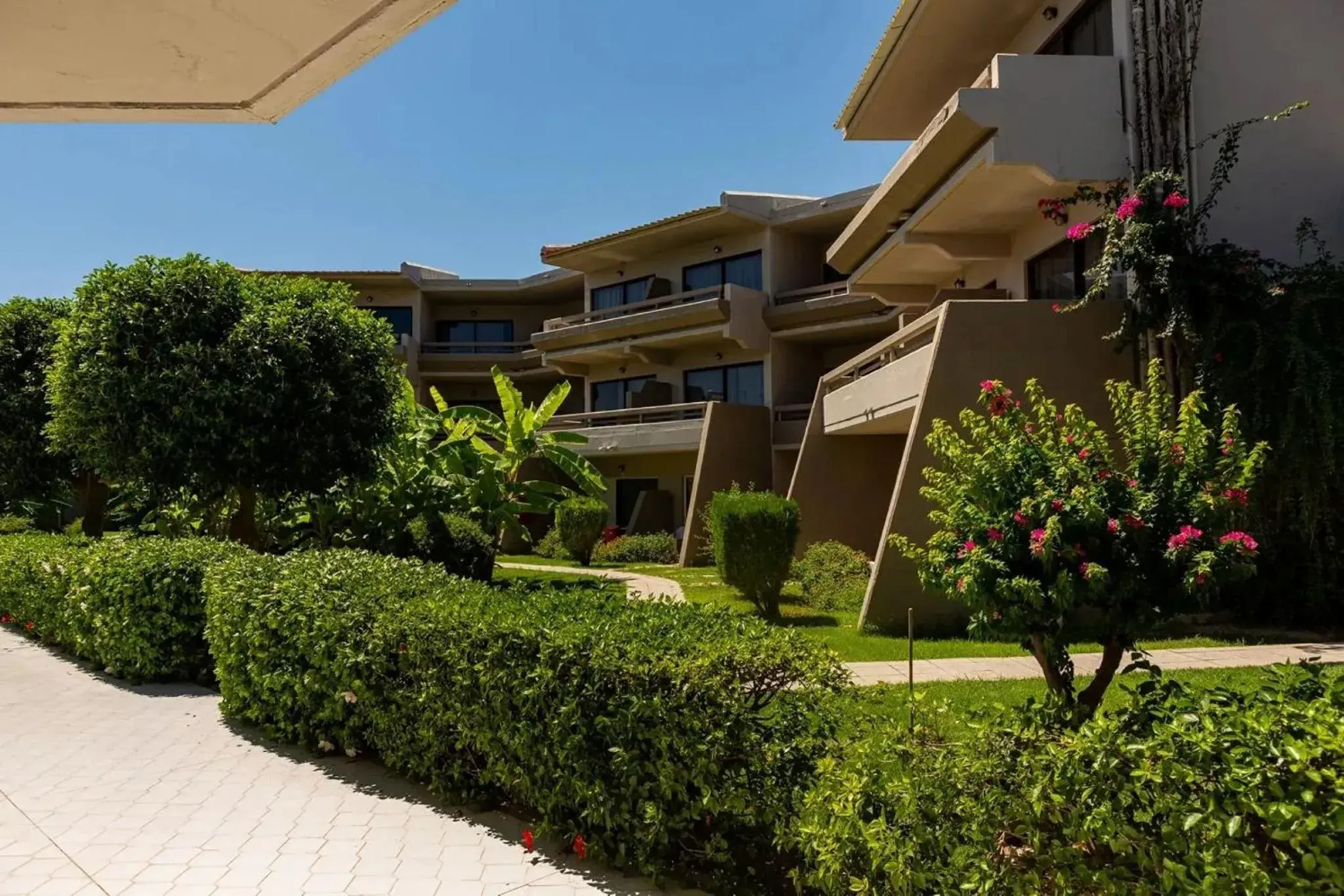 Garden view in Cathrin Hotel Garden view in Cathrin Hotel