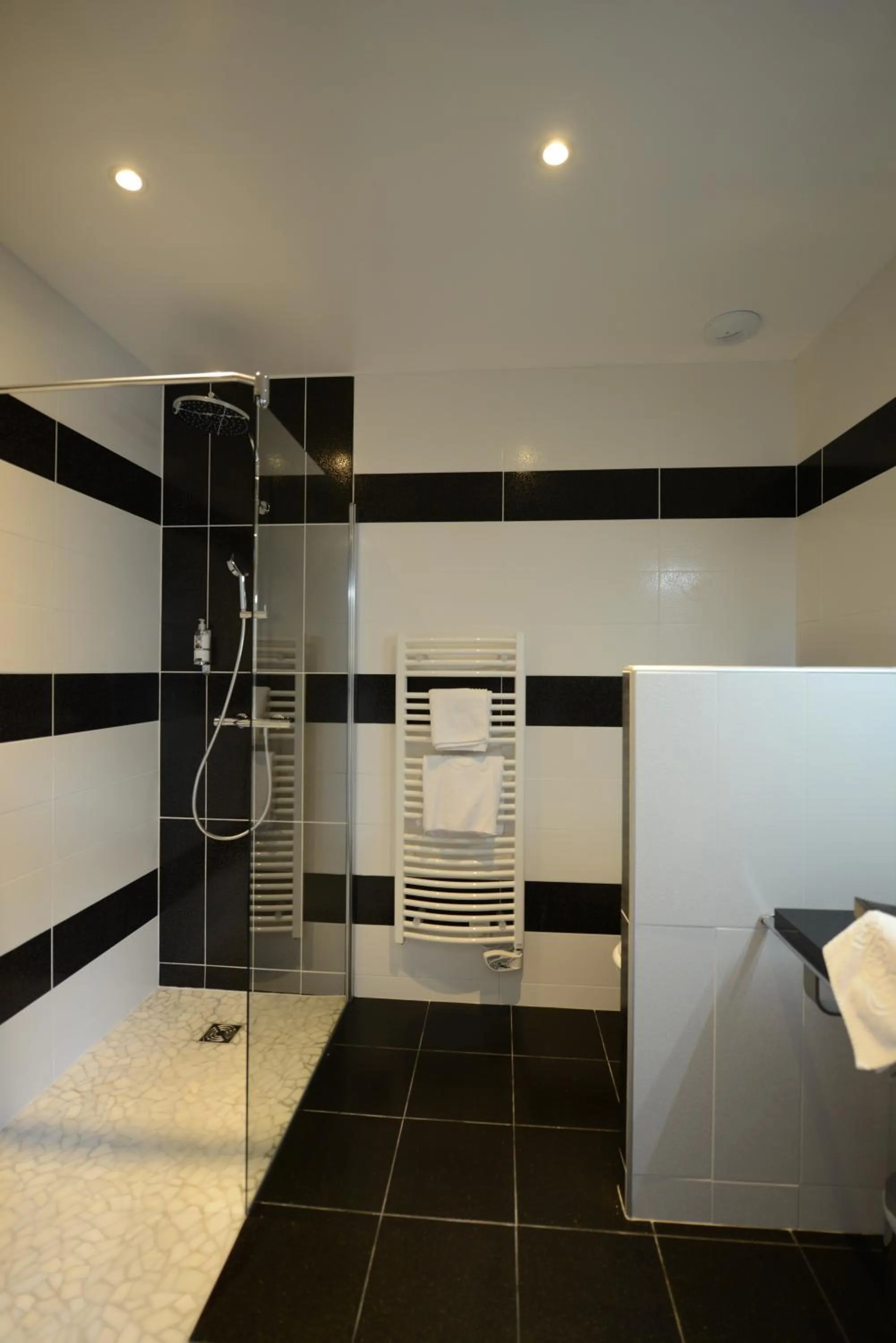 Shower in Hostellerie de la Renaissance