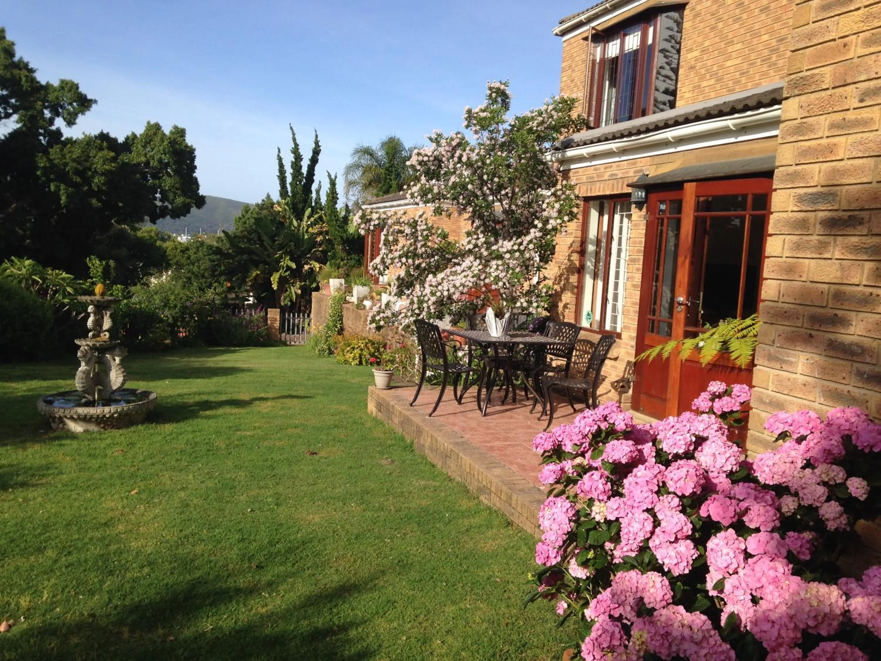 Garden in Blue Fern of Knysna