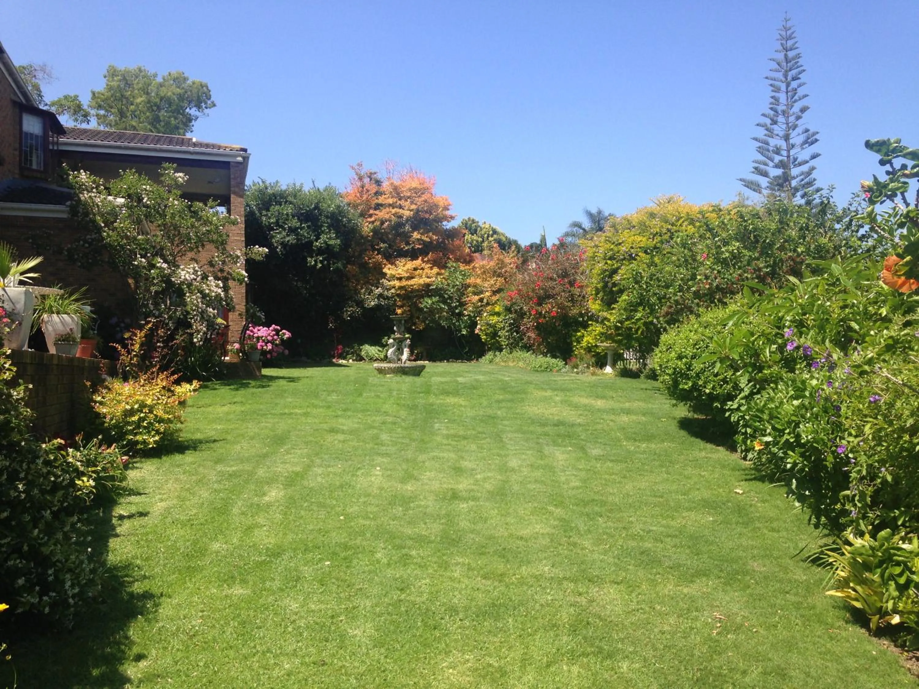 Garden in Blue Fern of Knysna