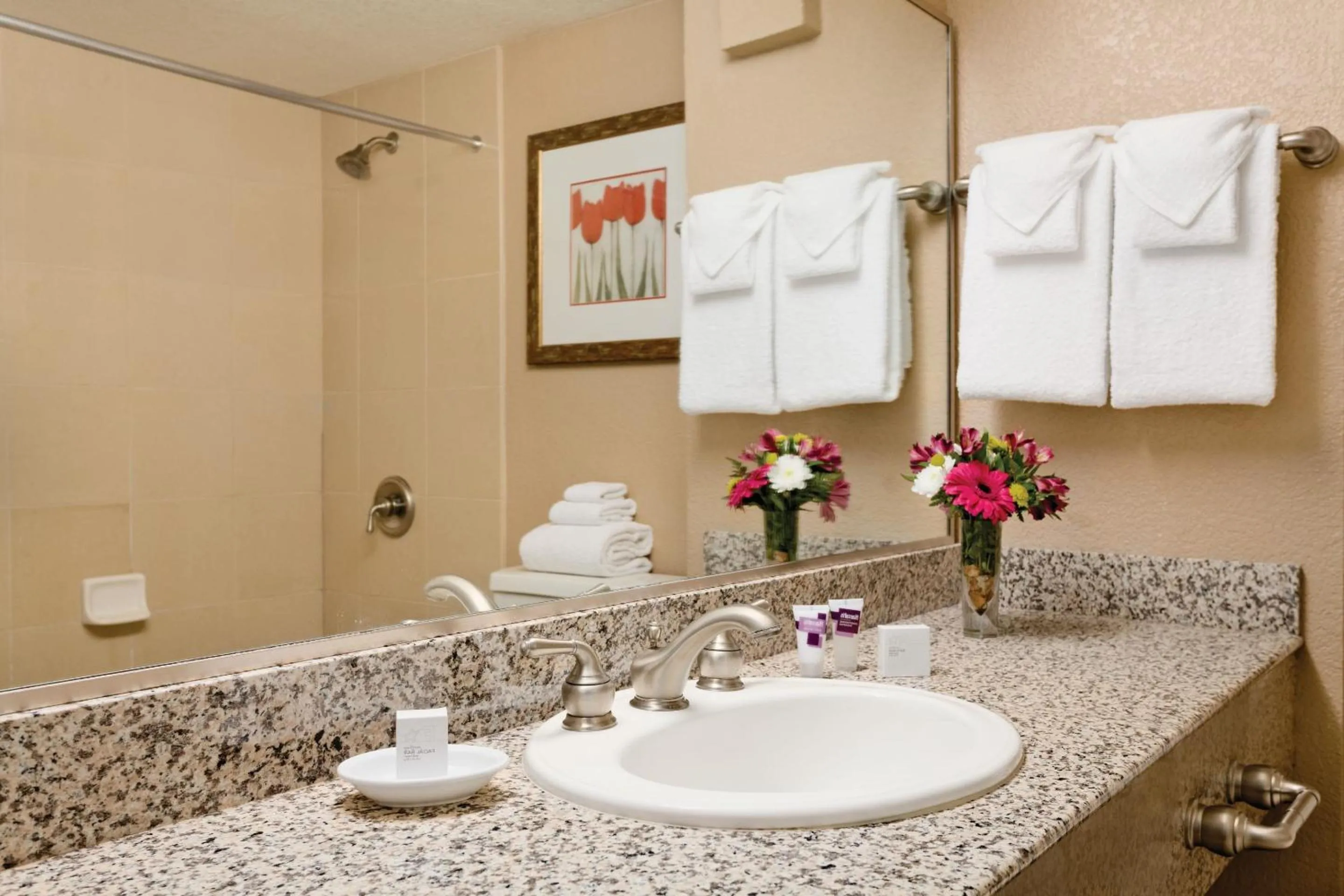 Bathroom in Harrah's Laughlin, A Caesars Destination