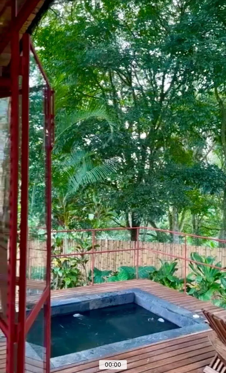 Garden view in Sazagua Hotel Boutique