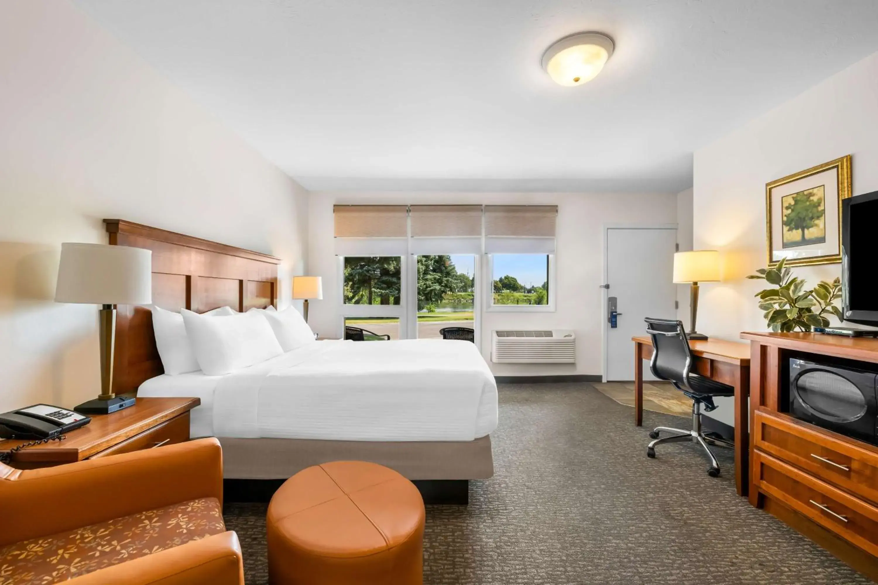 Bedroom, Bed in Best Western Driftwood Inn Bedroom, Bed in Best Western Driftwood Inn